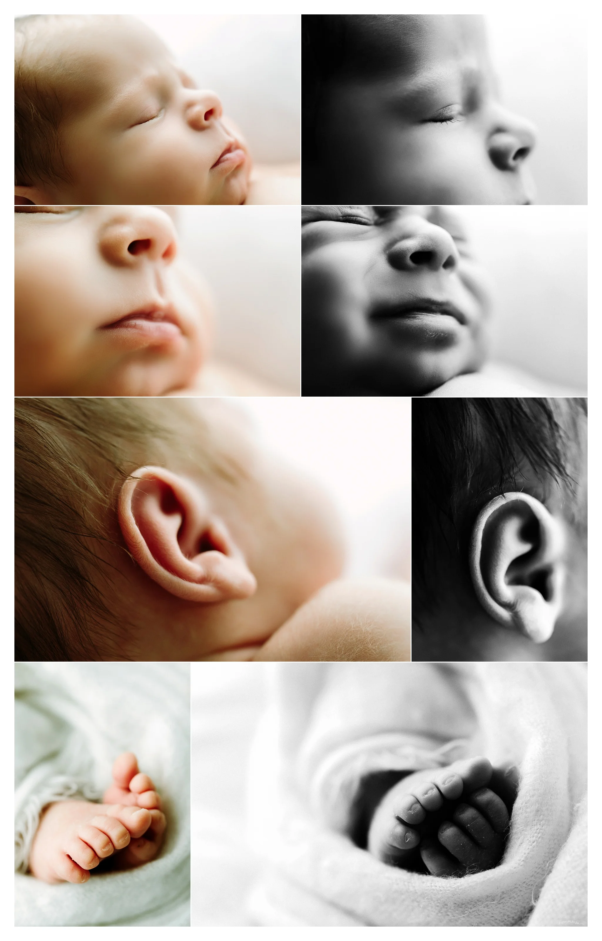 Newborn Baby Photography Portland Oregon Sommessa_1818.jpg