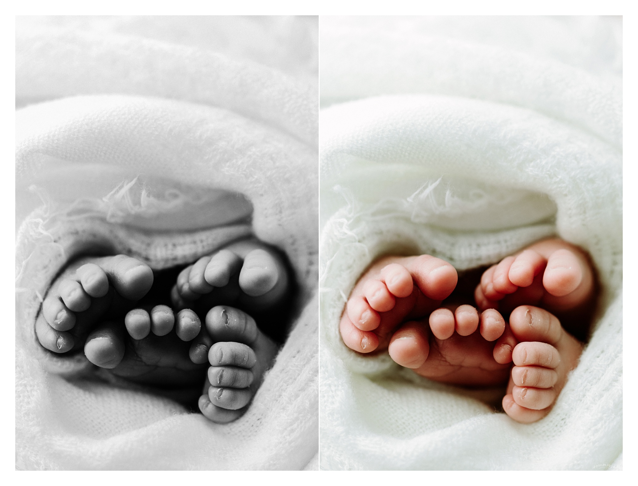 Newborn Baby Photography Portland Oregon Sommessa_1819.jpg