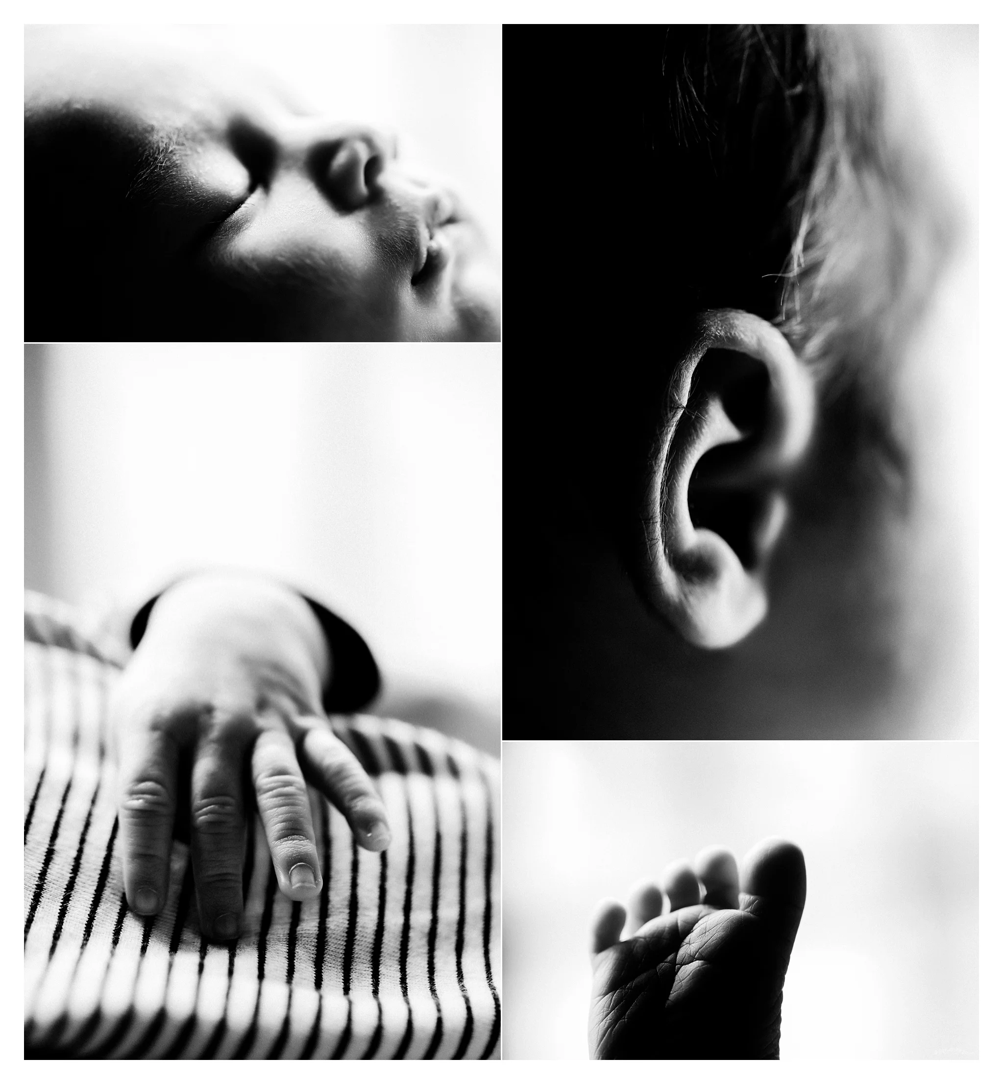 Newborn Photography Portland Oregon Sommessa_1866.jpg
