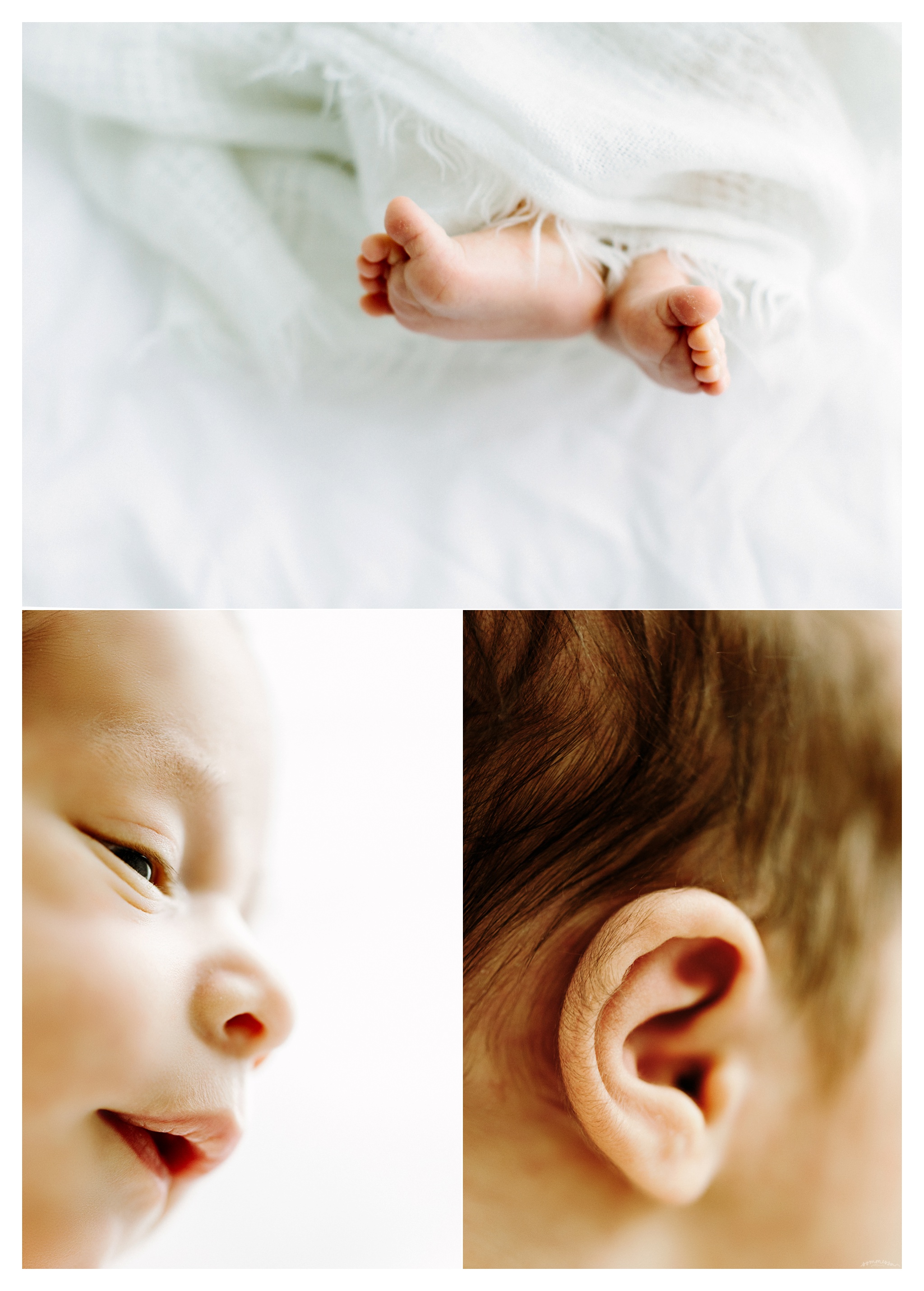 Newborn Photography Portland Oregon Sommessa_1869.jpg