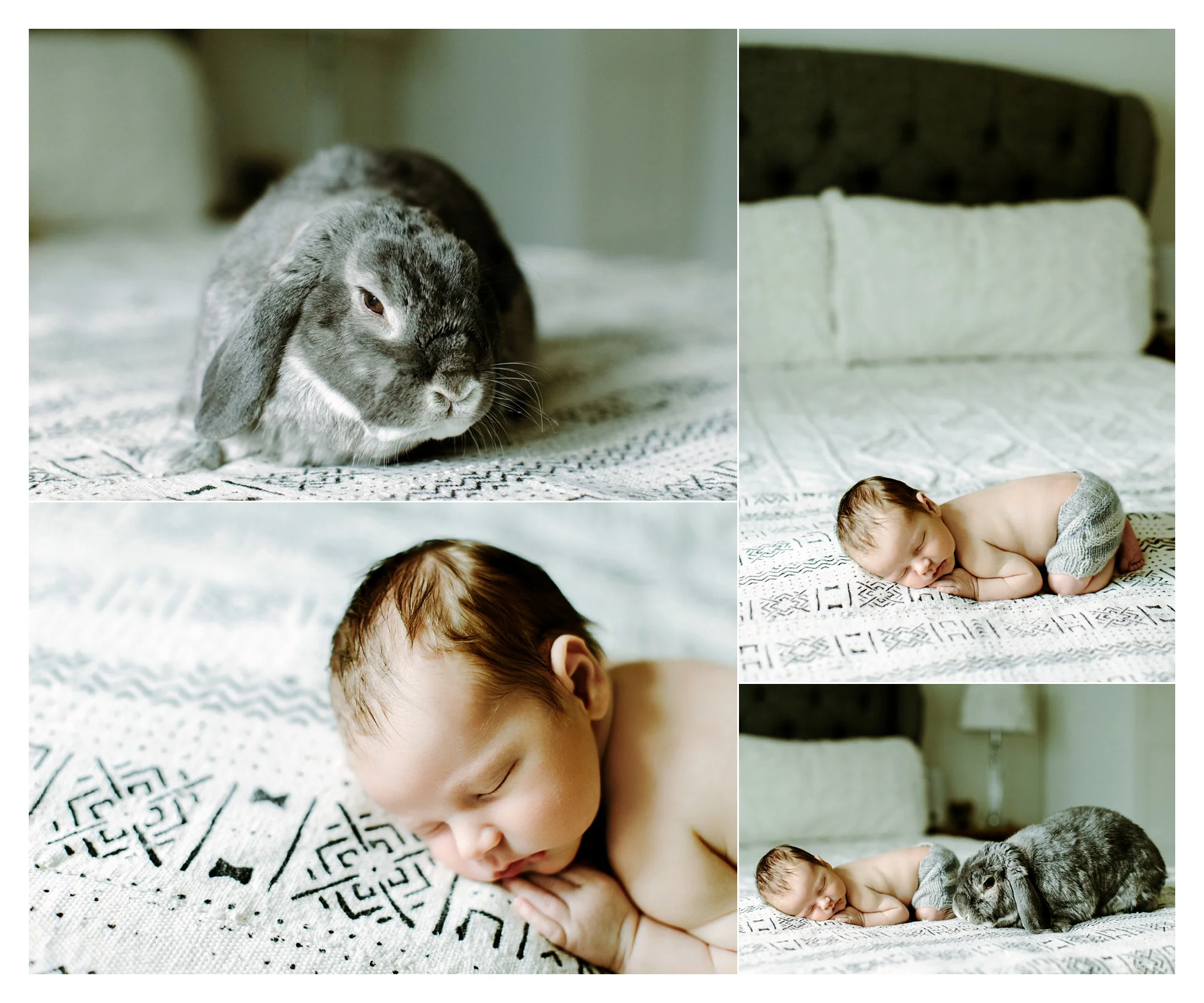 Newborn Photography Portland Oregon Sommessa_1883.jpg