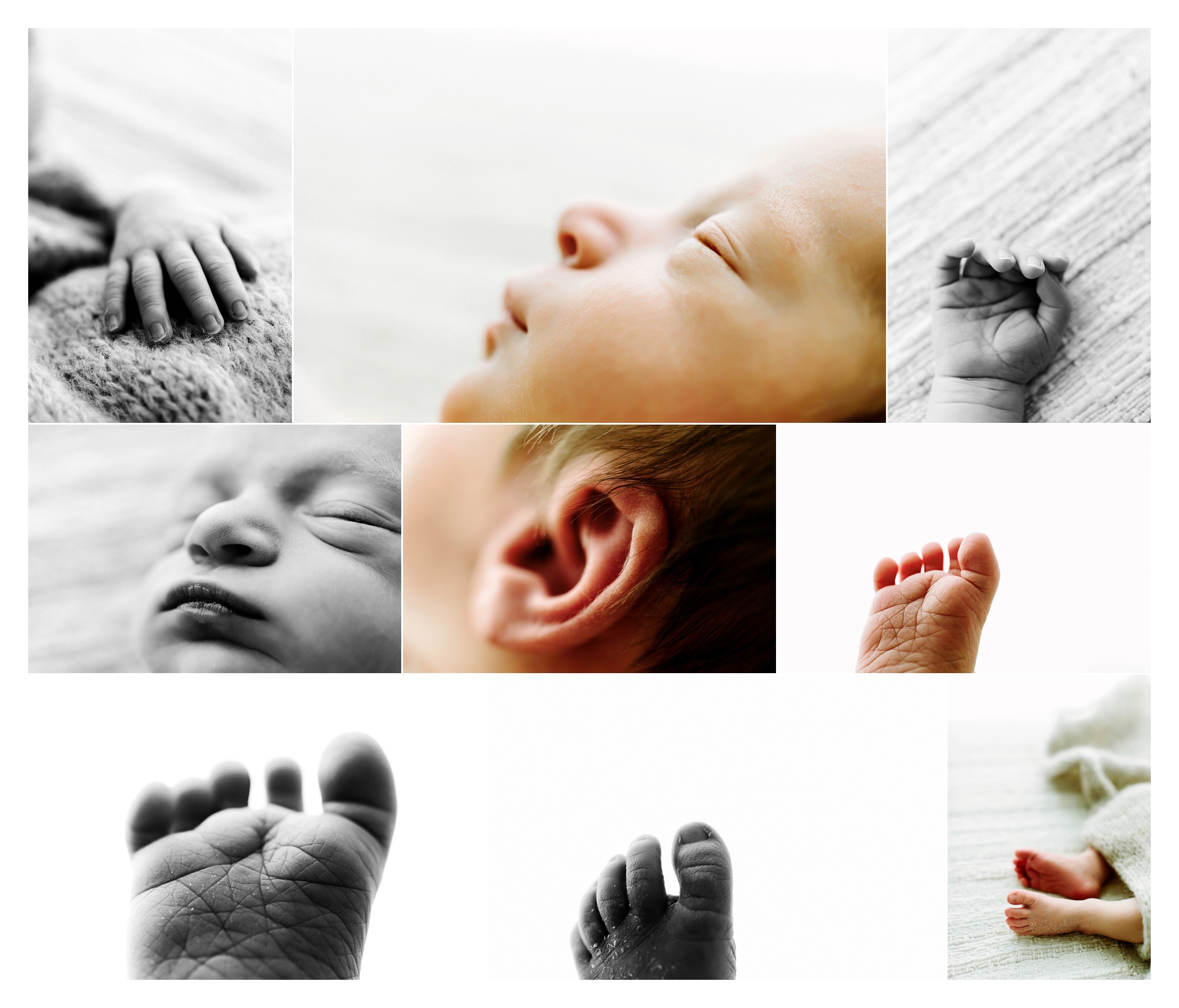 Newborn Photography Portland Oregon Sommessa_1975.jpg