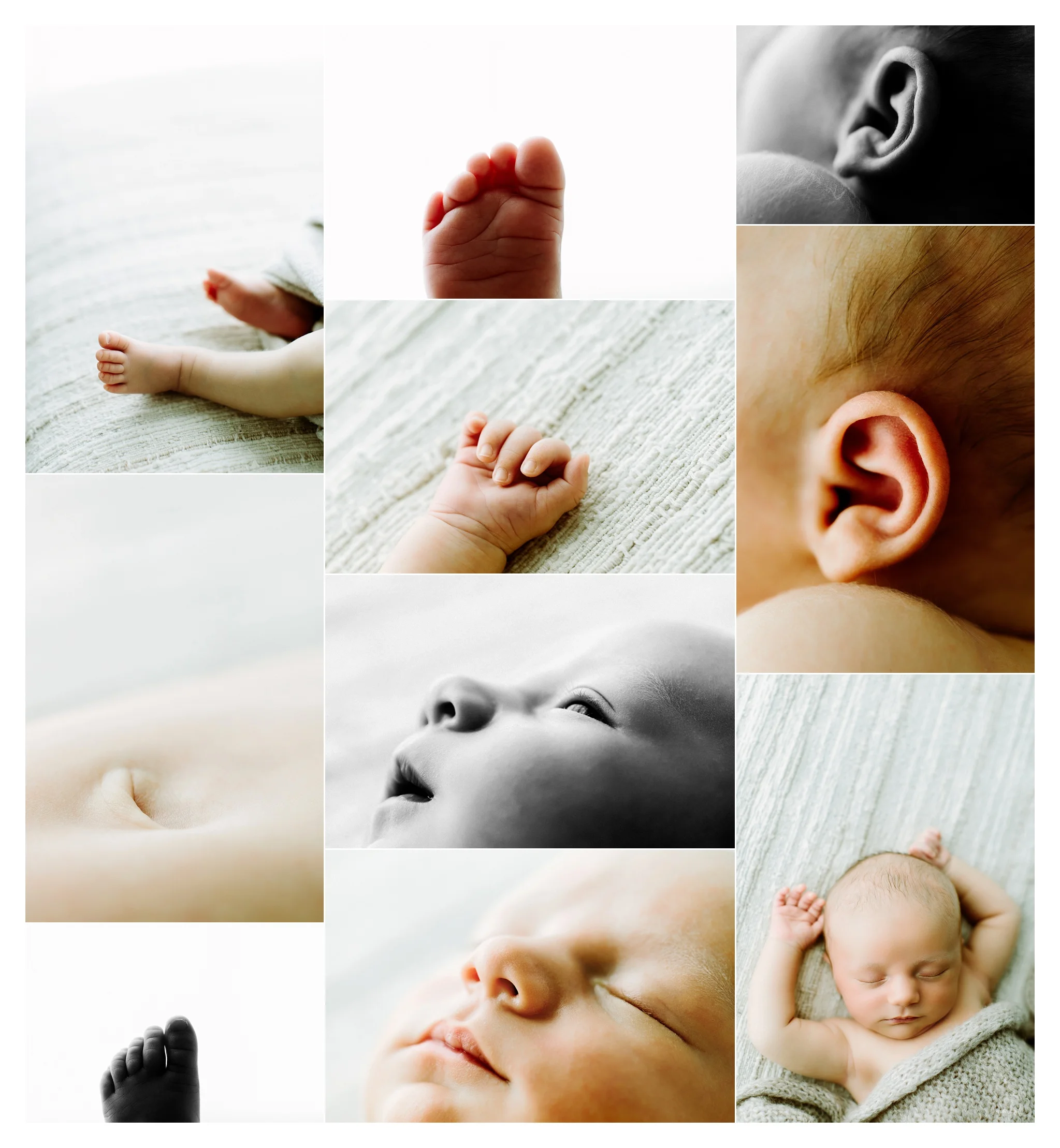 Newborn Photography Portland Oregon Sommessa_1991.jpg