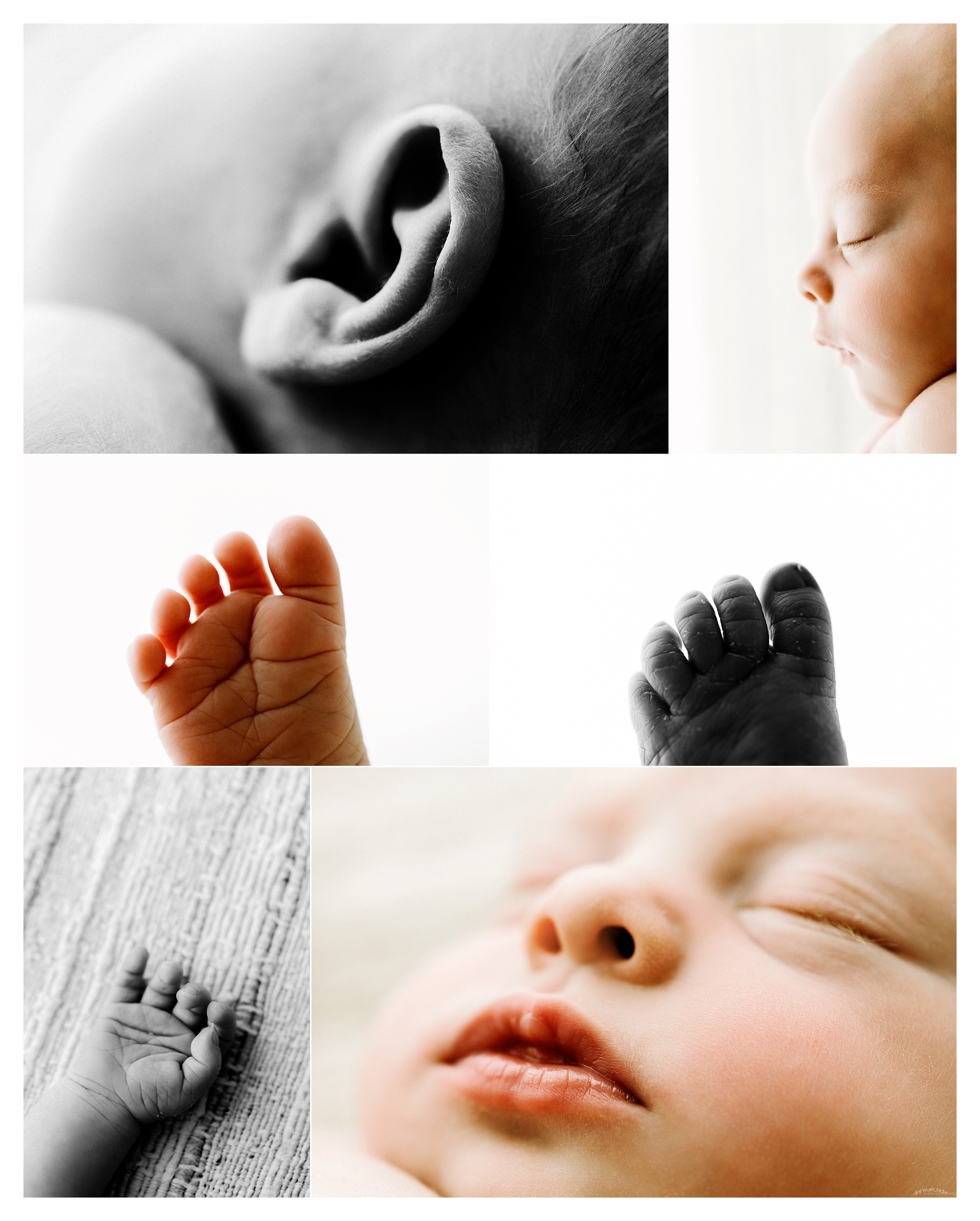 Newborn Baby Photography Portland Oregon Sommessa_2031.jpg