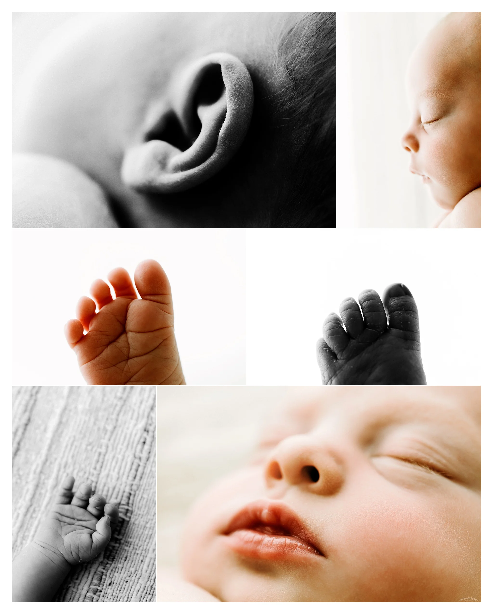 Newborn Baby Photography Portland Oregon Sommessa_2031.jpg