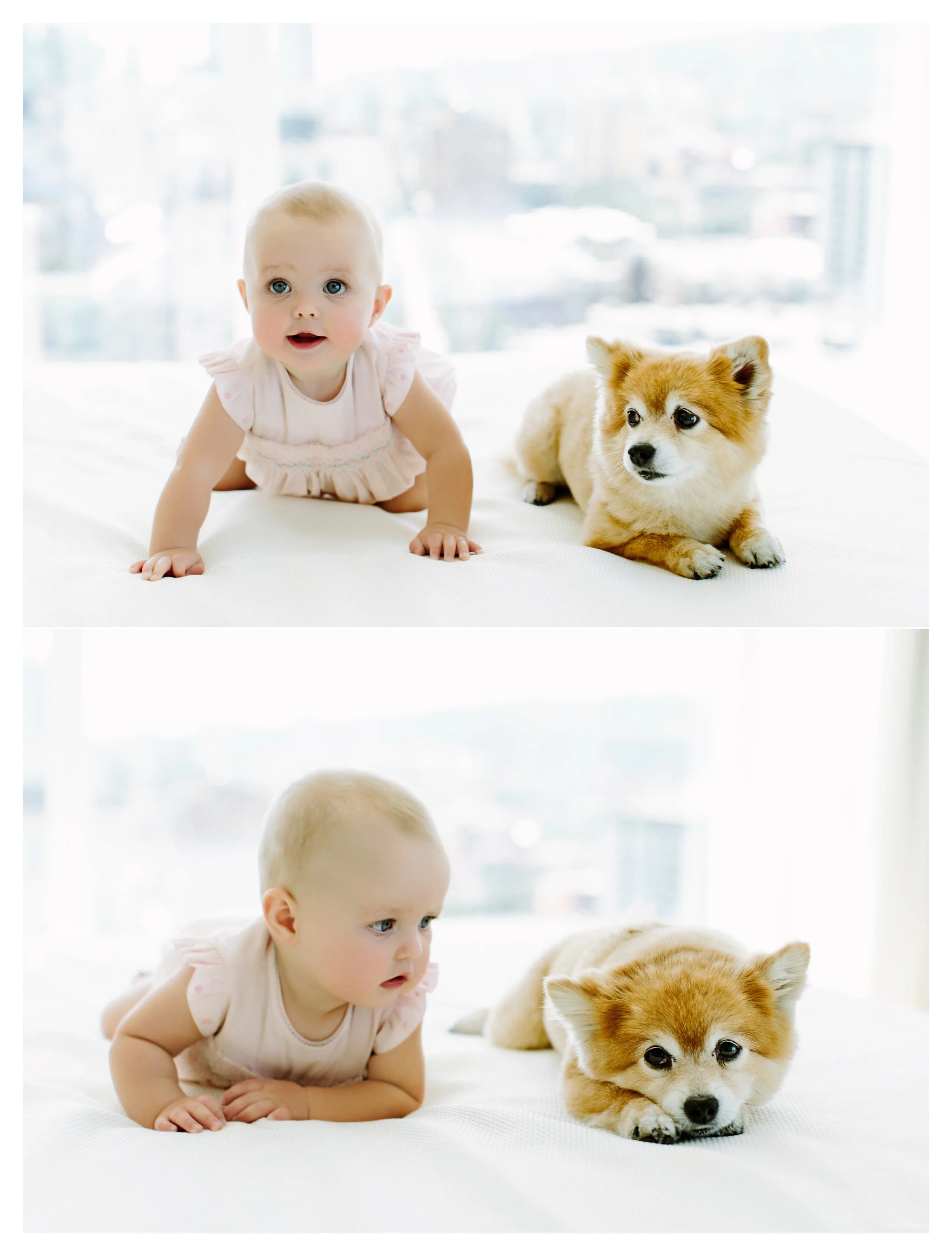 Lifestyle Baby Photography Portland Oregon Sommessa_2113.jpg