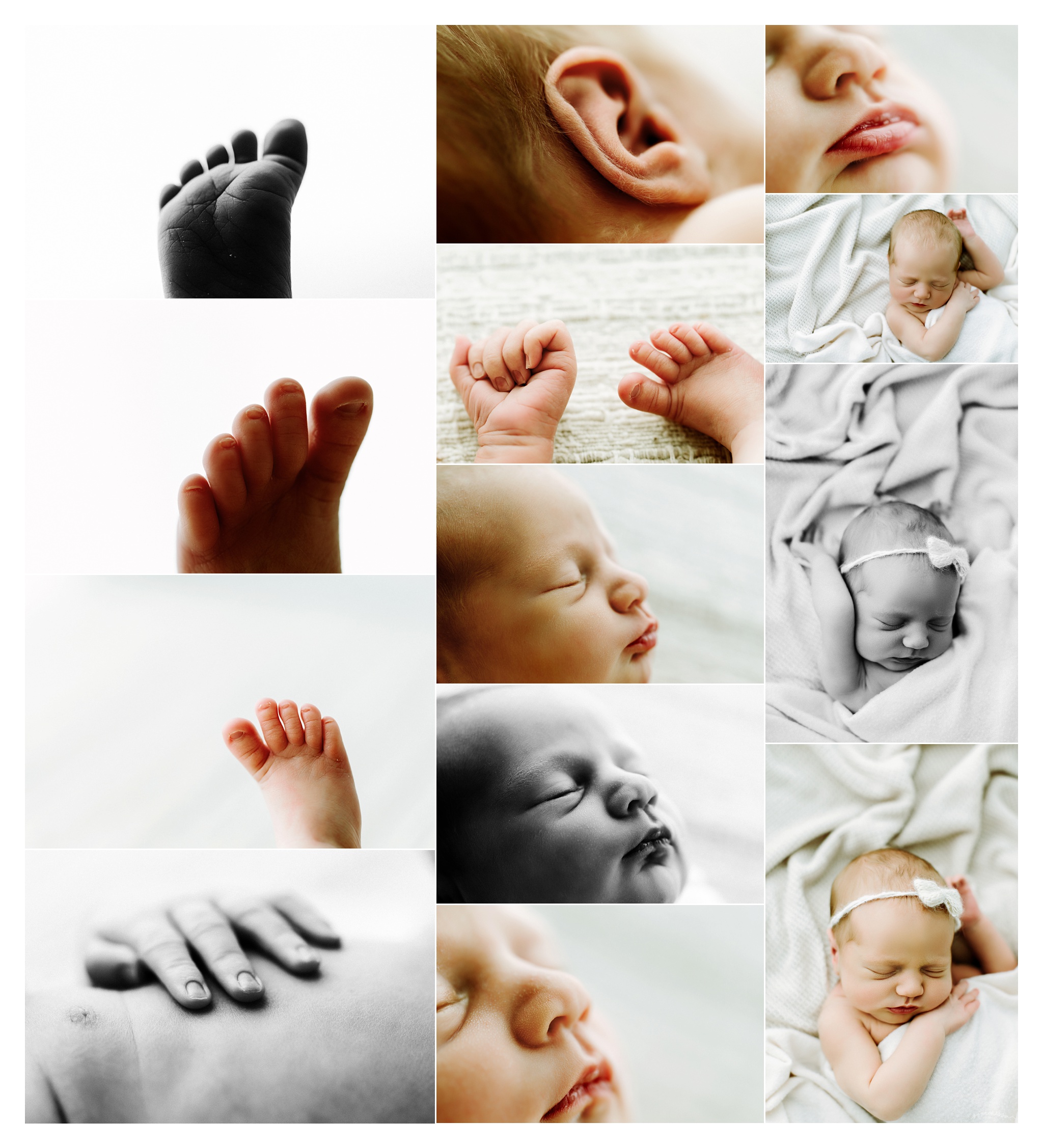 Portland Oregon Newborn Photography Sommessa_2156.jpg