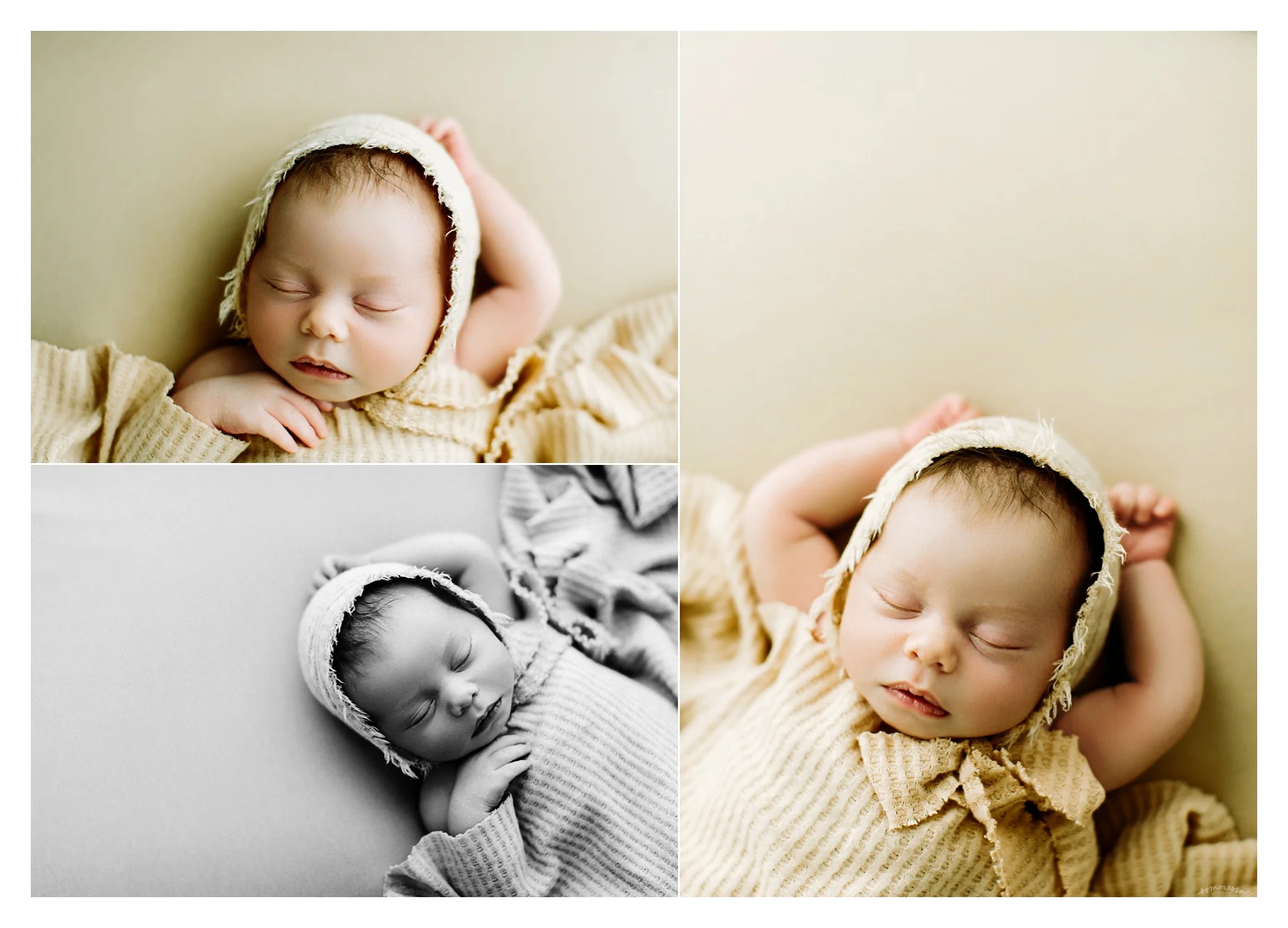 Portland Oregon Newborn Photography Sommessa_2204.jpg