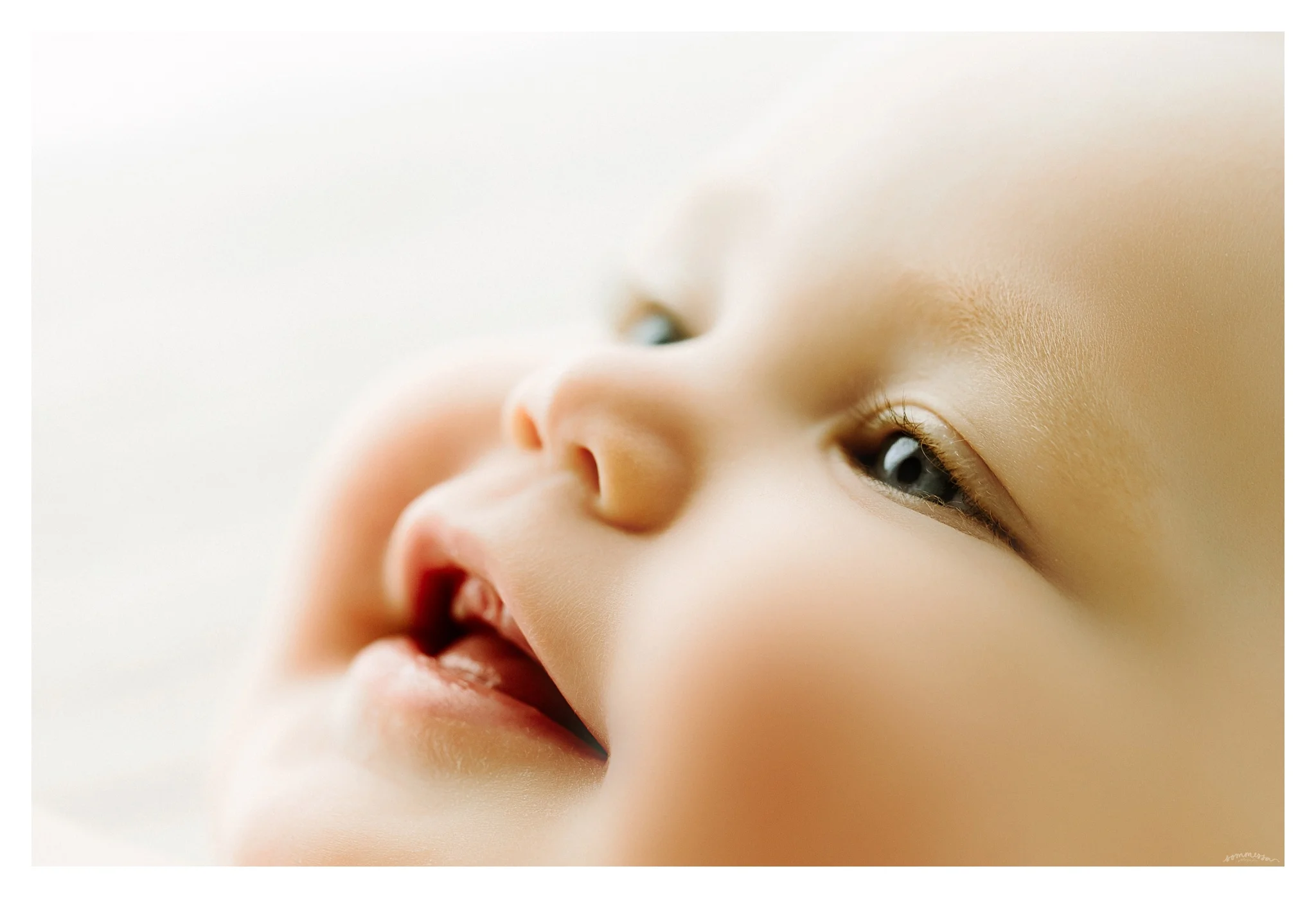 Portland Oregon Baby Photography Sommessa_2208.jpg