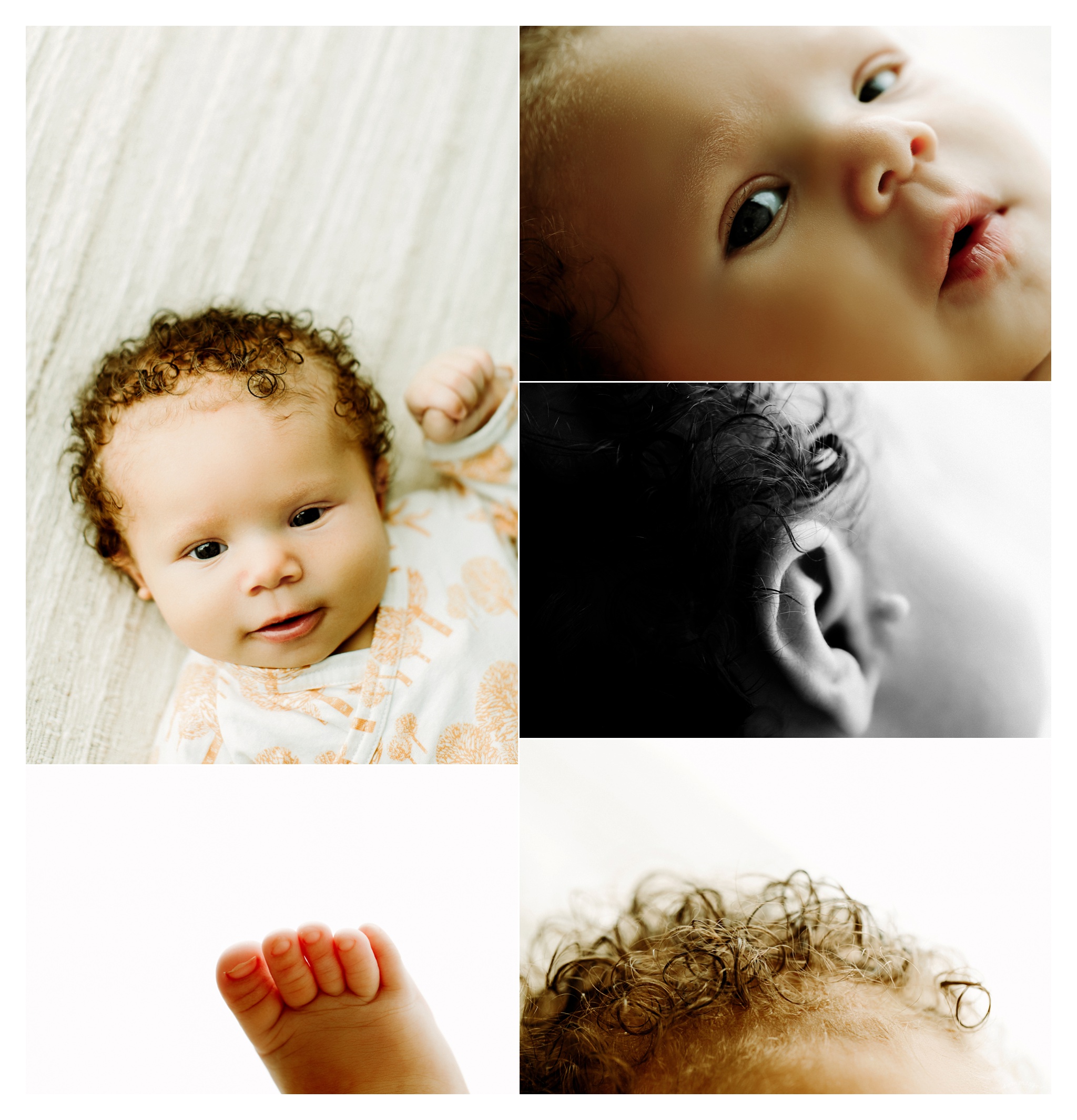 Portland Oregon Newborn Photography Sommessa_2227.jpg