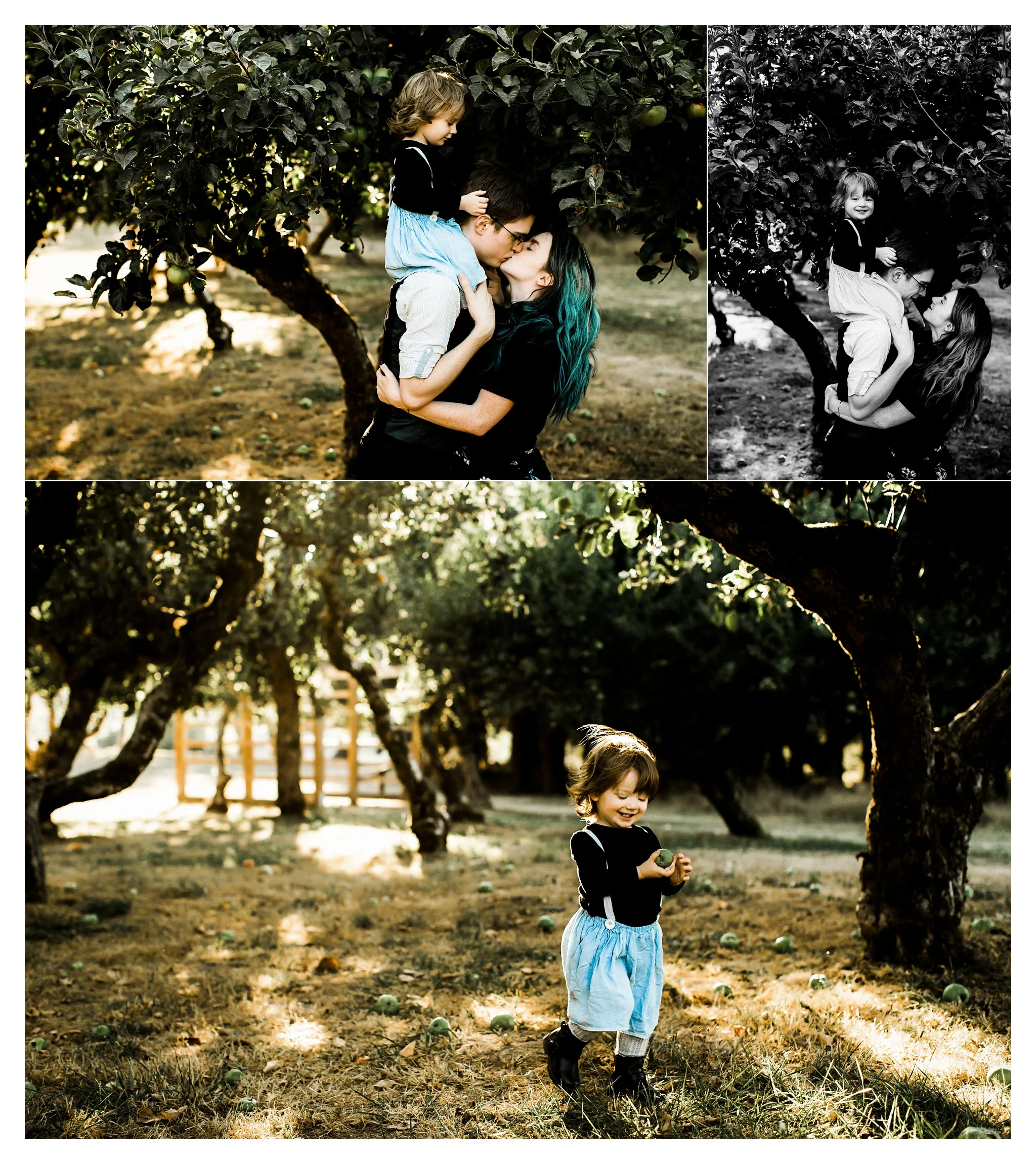 Portland Oregon Family Photographer Sommessa_2296.jpg