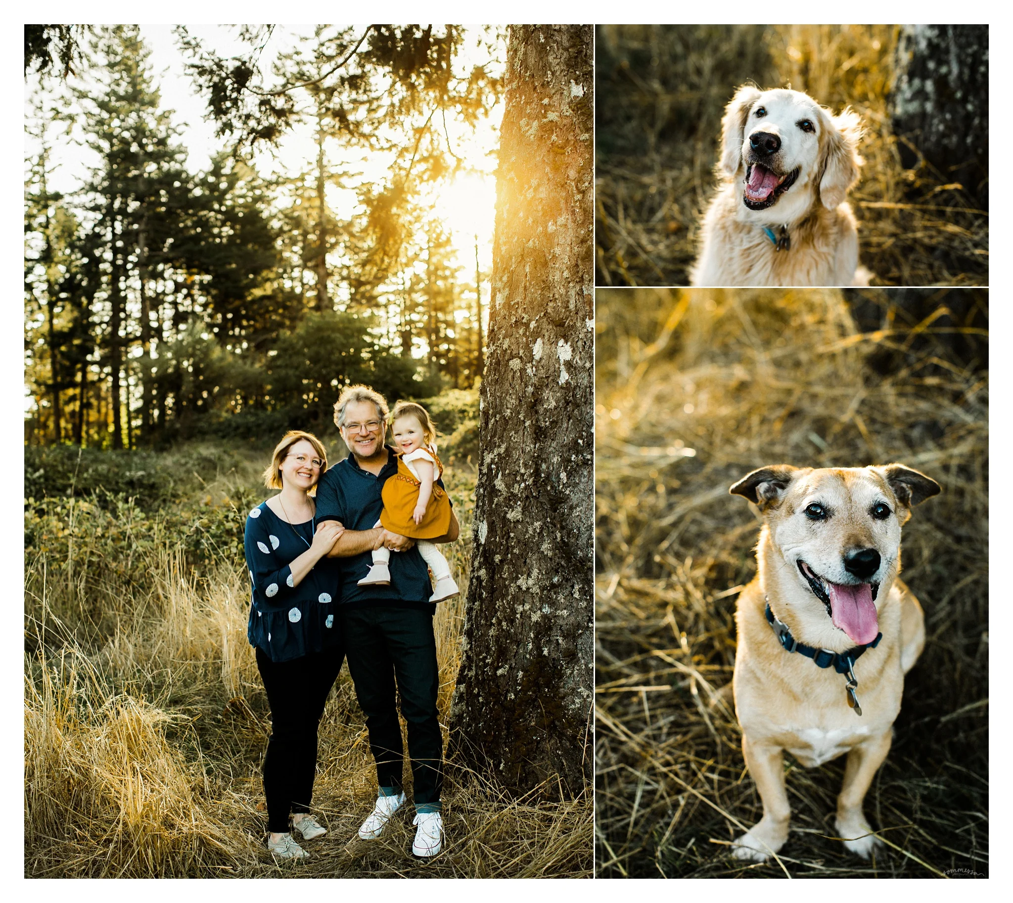 Portland Oregon Family Photographer Sommessa_2389.jpg