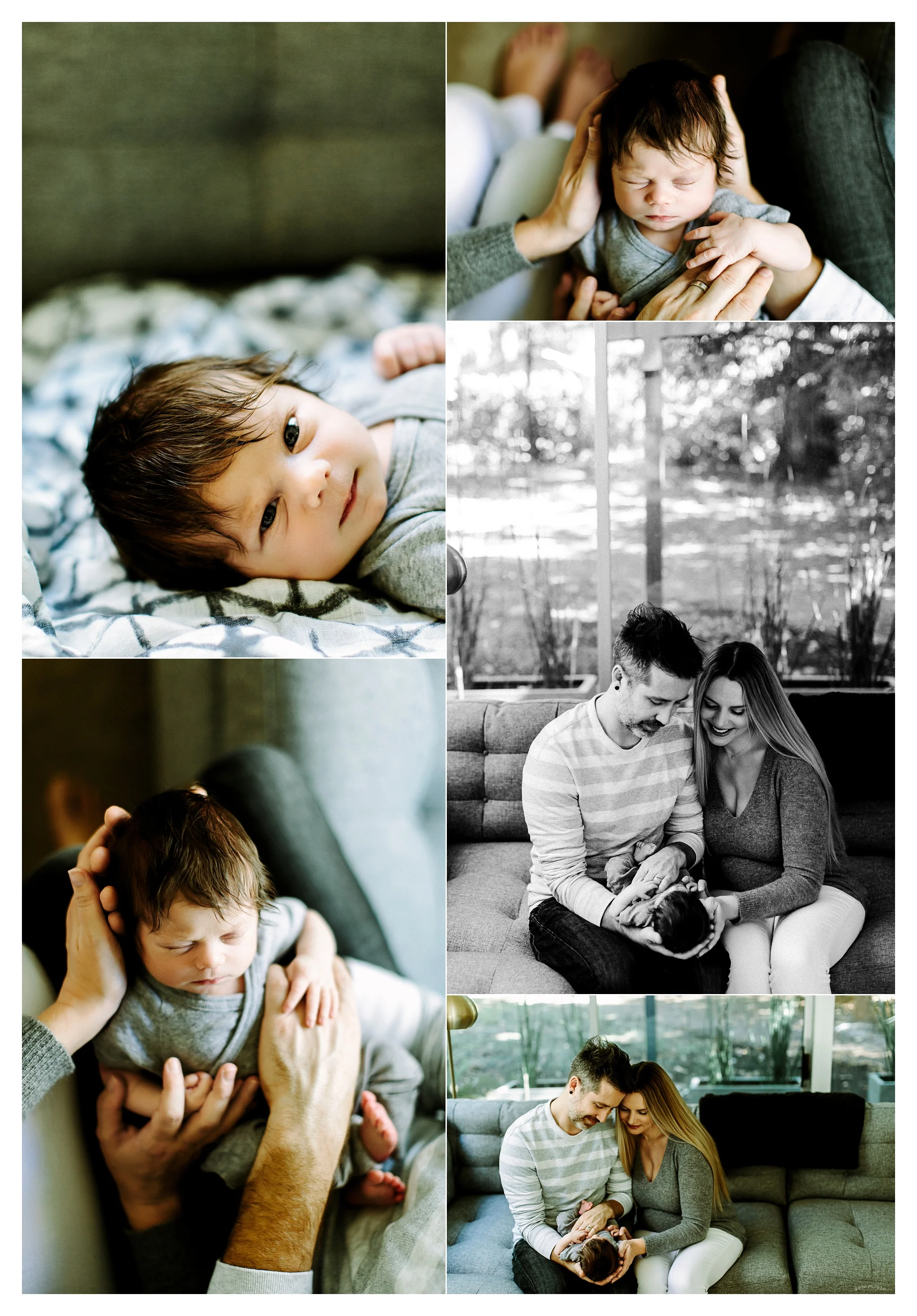 Portland Oregon Newborn Photographer Sommessa_2406.jpg