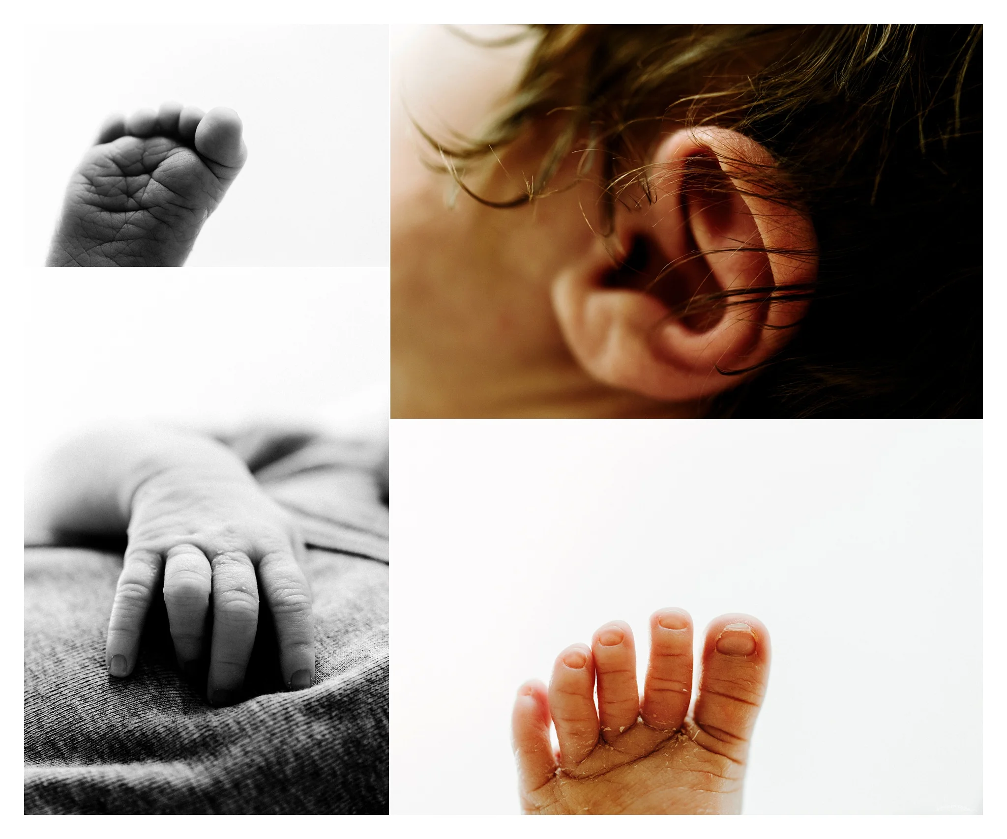 Portland Oregon Newborn Photographer Sommessa_2408.jpg