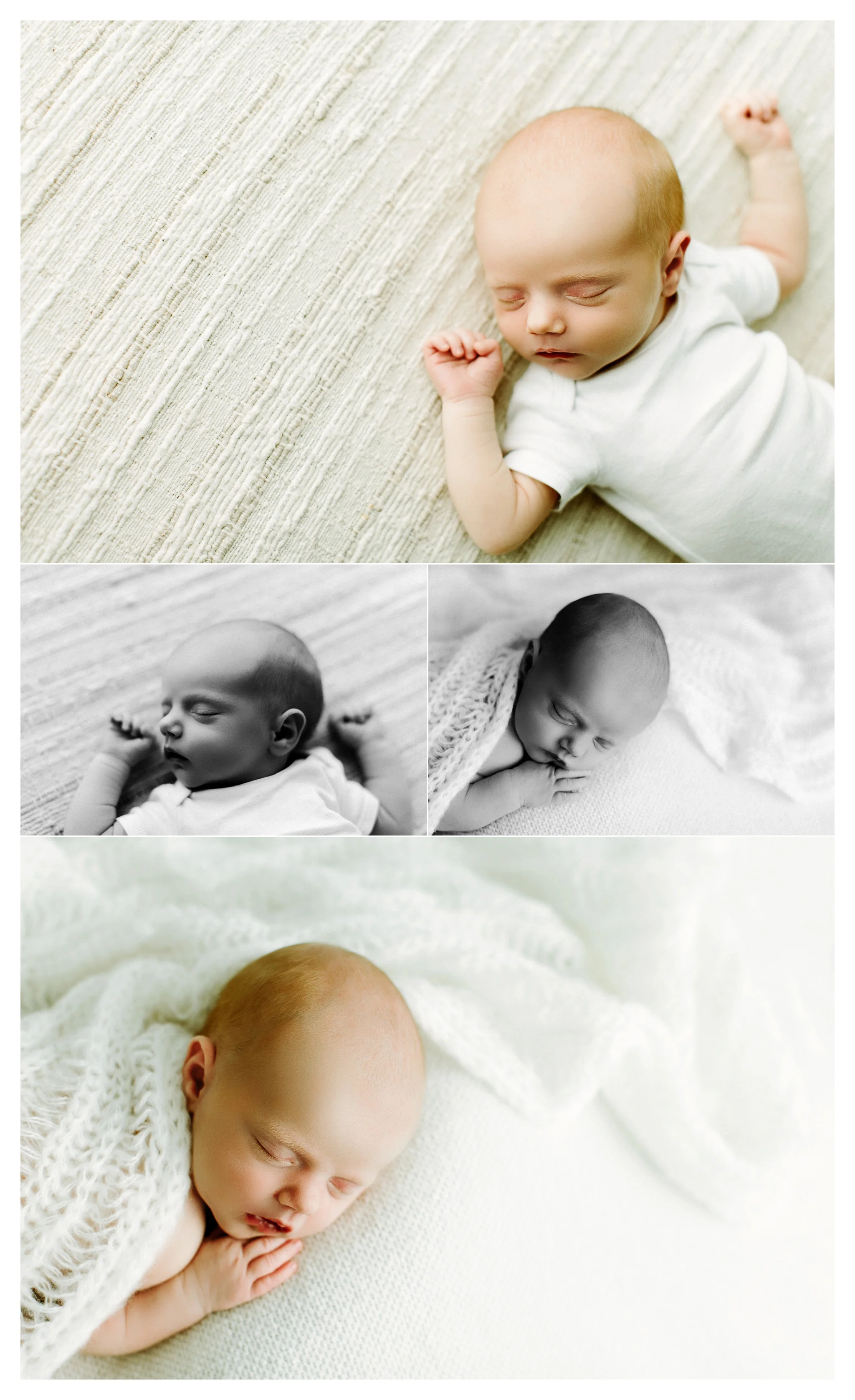 Portland Oregon Newborn Photographer Sommessa_2420.jpg