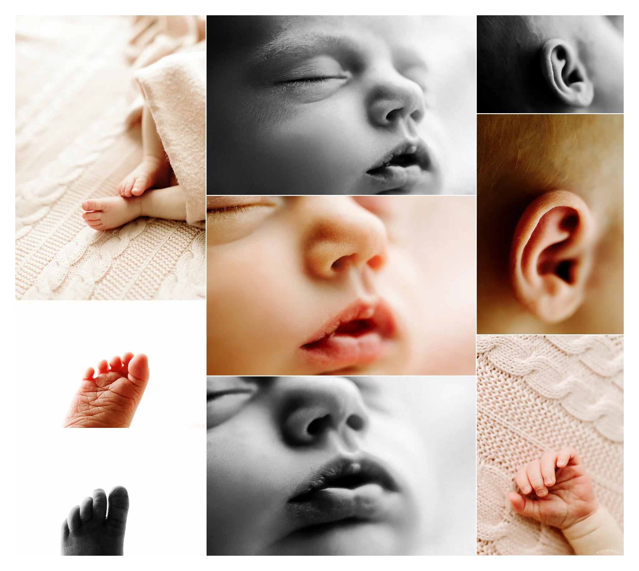 Portland Oregon Newborn Photographer Sommessa_2422.jpg