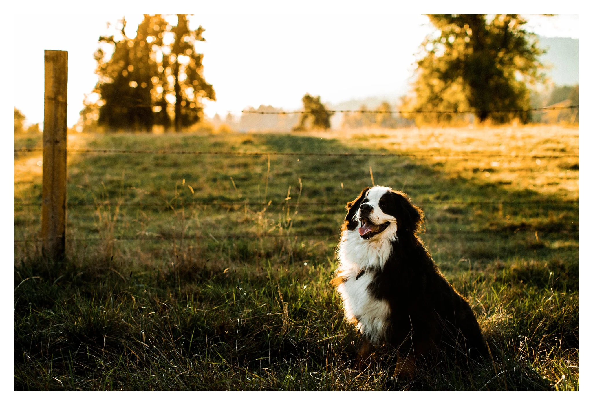 Portland Oregon Family Photographer Sommessa_2451.jpg