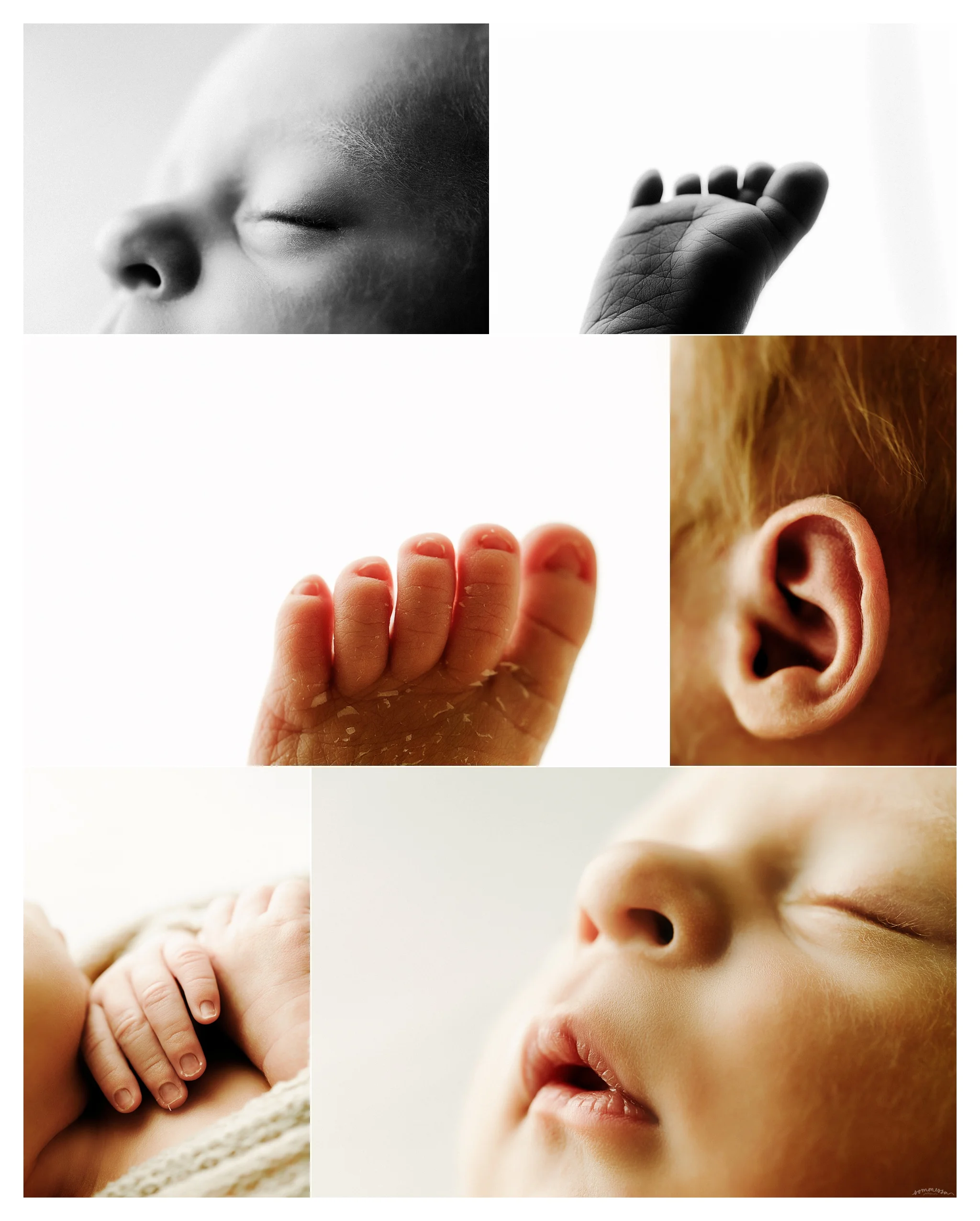 Portland Oregon Newborn Photographer Sommessa_2509.jpg