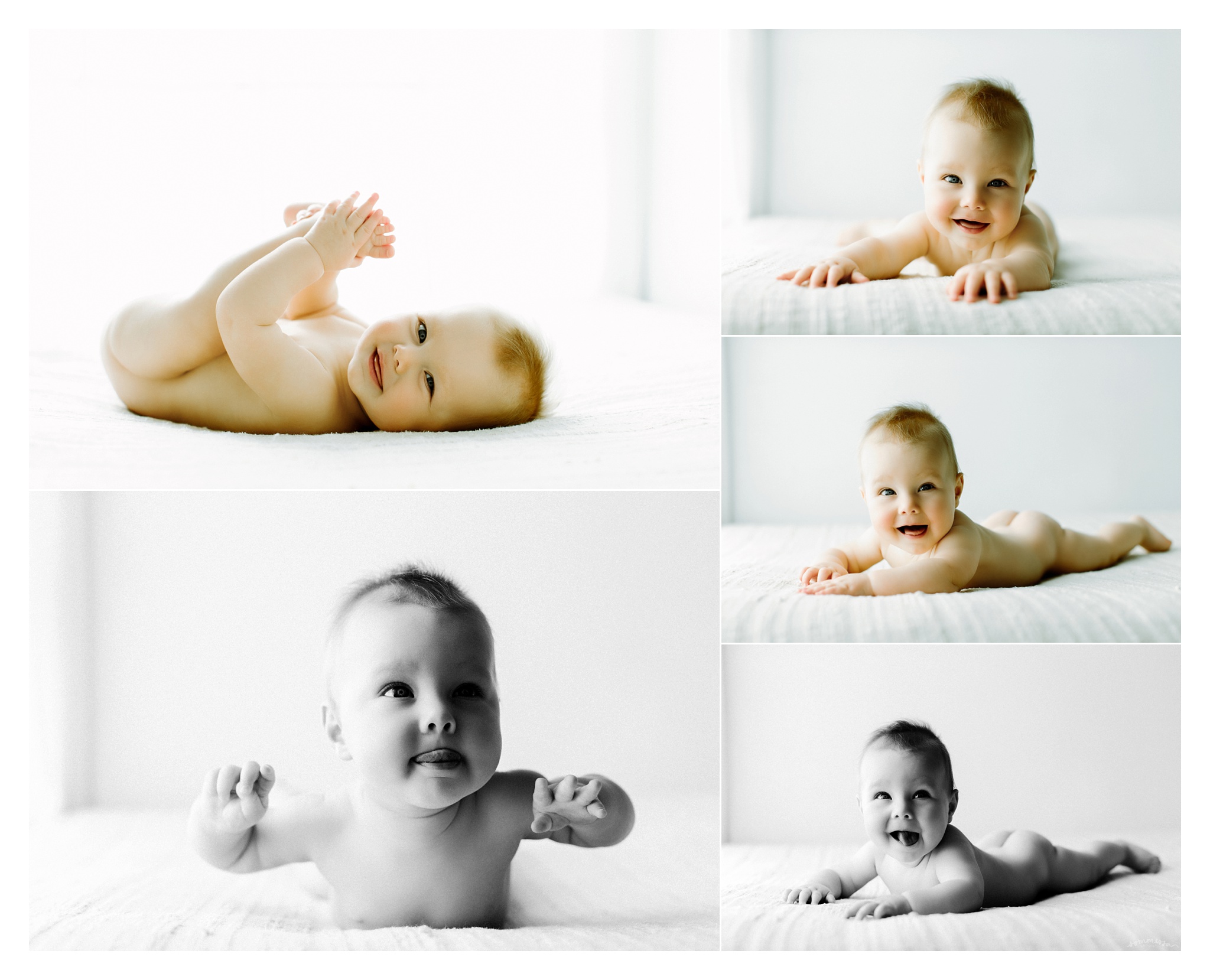 Portland Oregon Baby Photographer Sommessa_2521.jpg