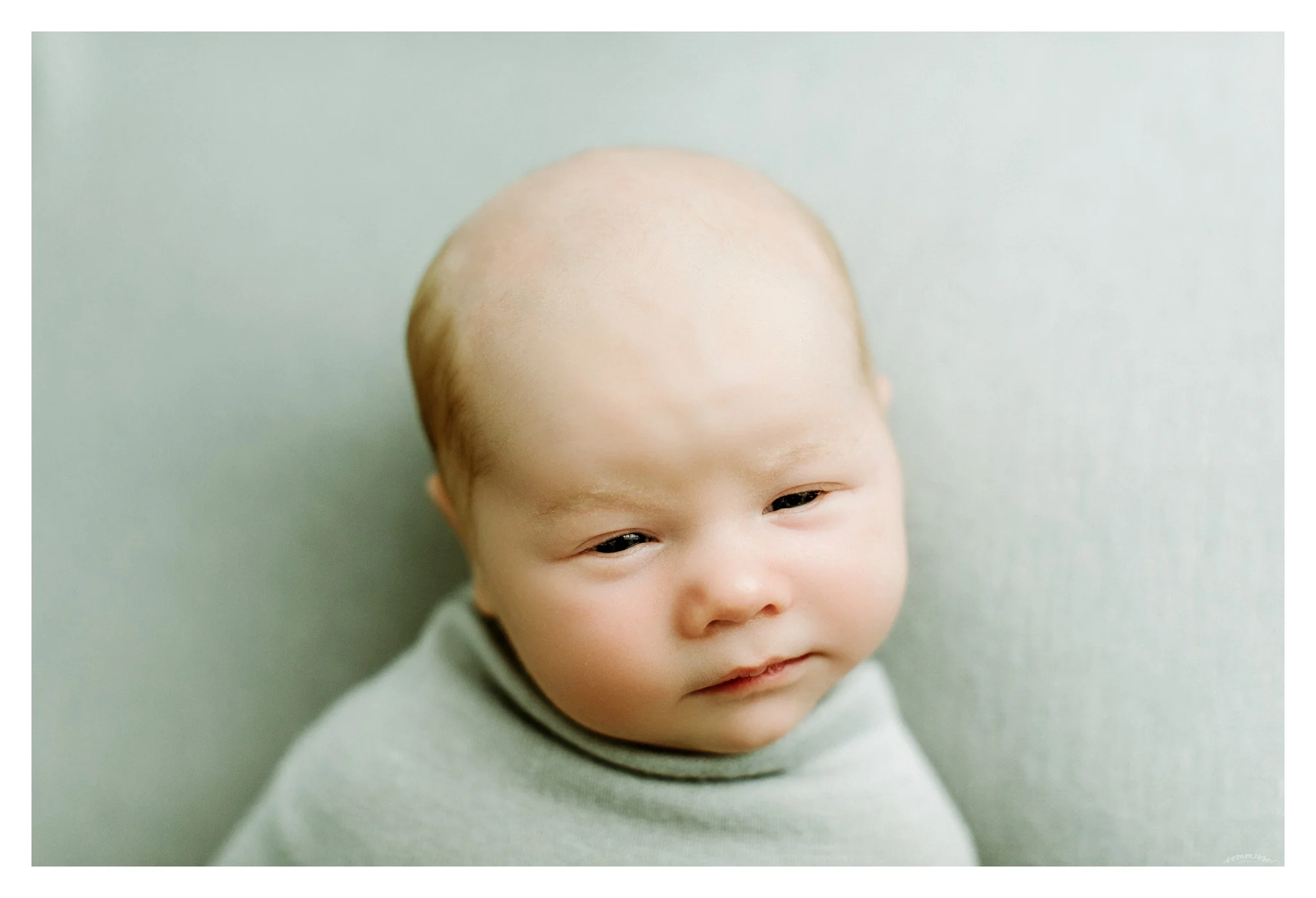 Portland Oregon Newborn Photographer Sommessa_2527.jpg