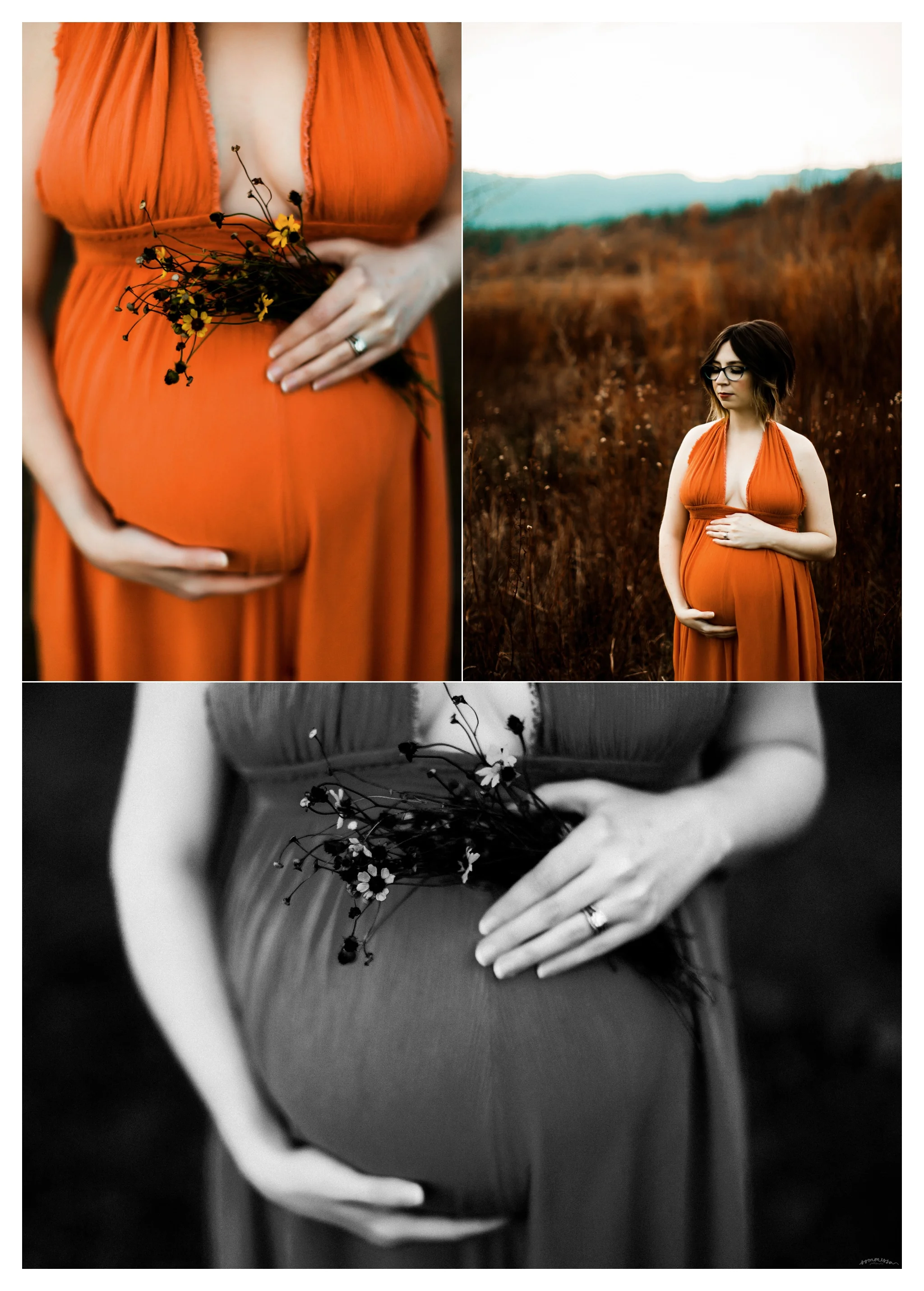 Maternity Photographer Portland, Oregon Sommessa_2566.jpg