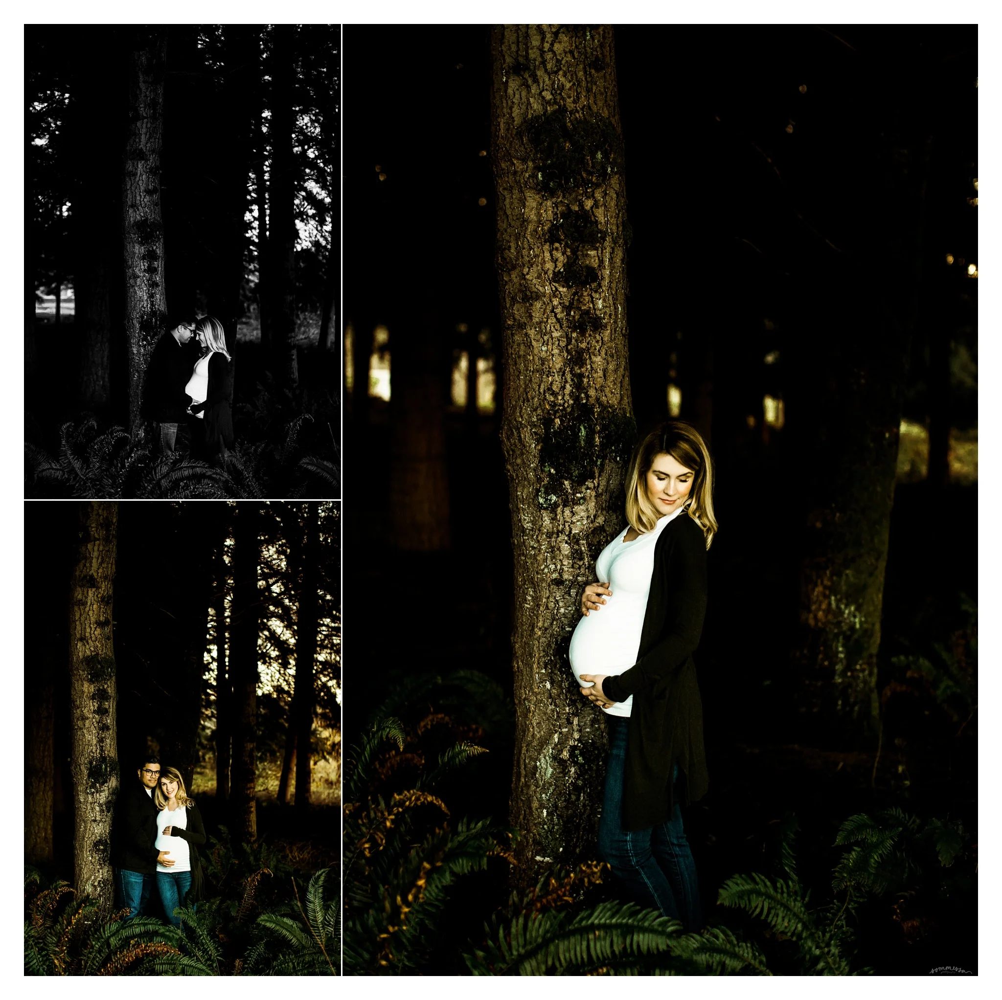 Maternity Photographer Portland, Oregon Sommessa_2569.jpg
