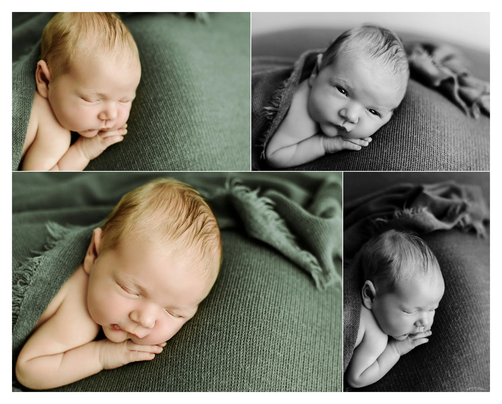 Newborn Photographer Portland, Oregon Sommessa_2631.jpg