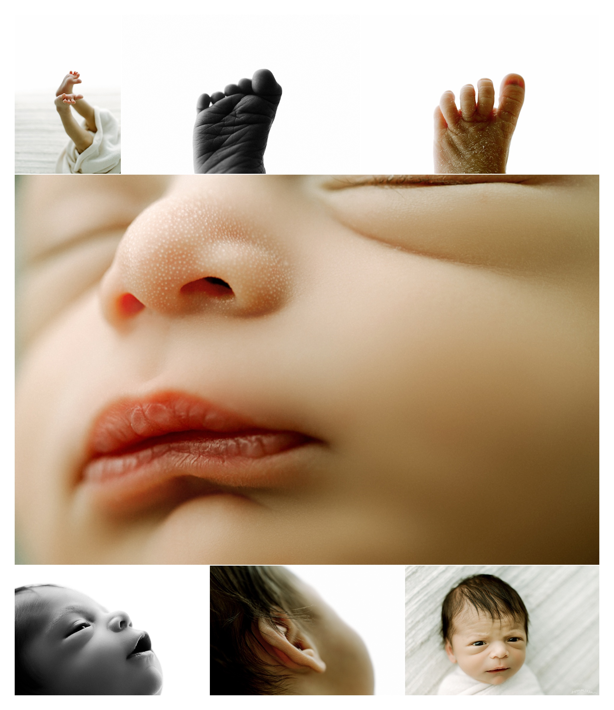 Newborn Photography in Portland, Oregon Sommessa_2776.jpg