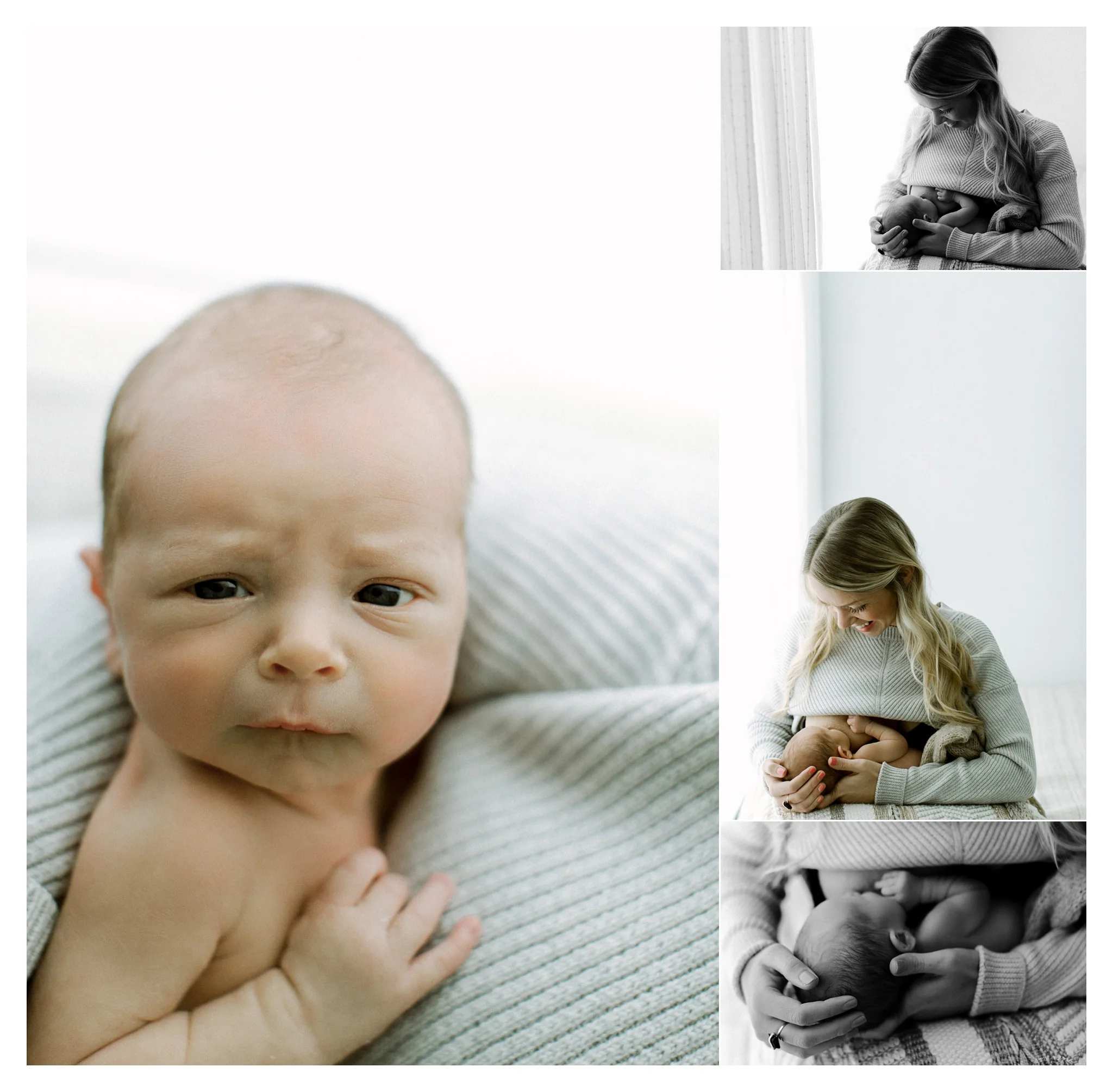 Newborn Photography in Portland, Oregon Sommessa_2790.jpg