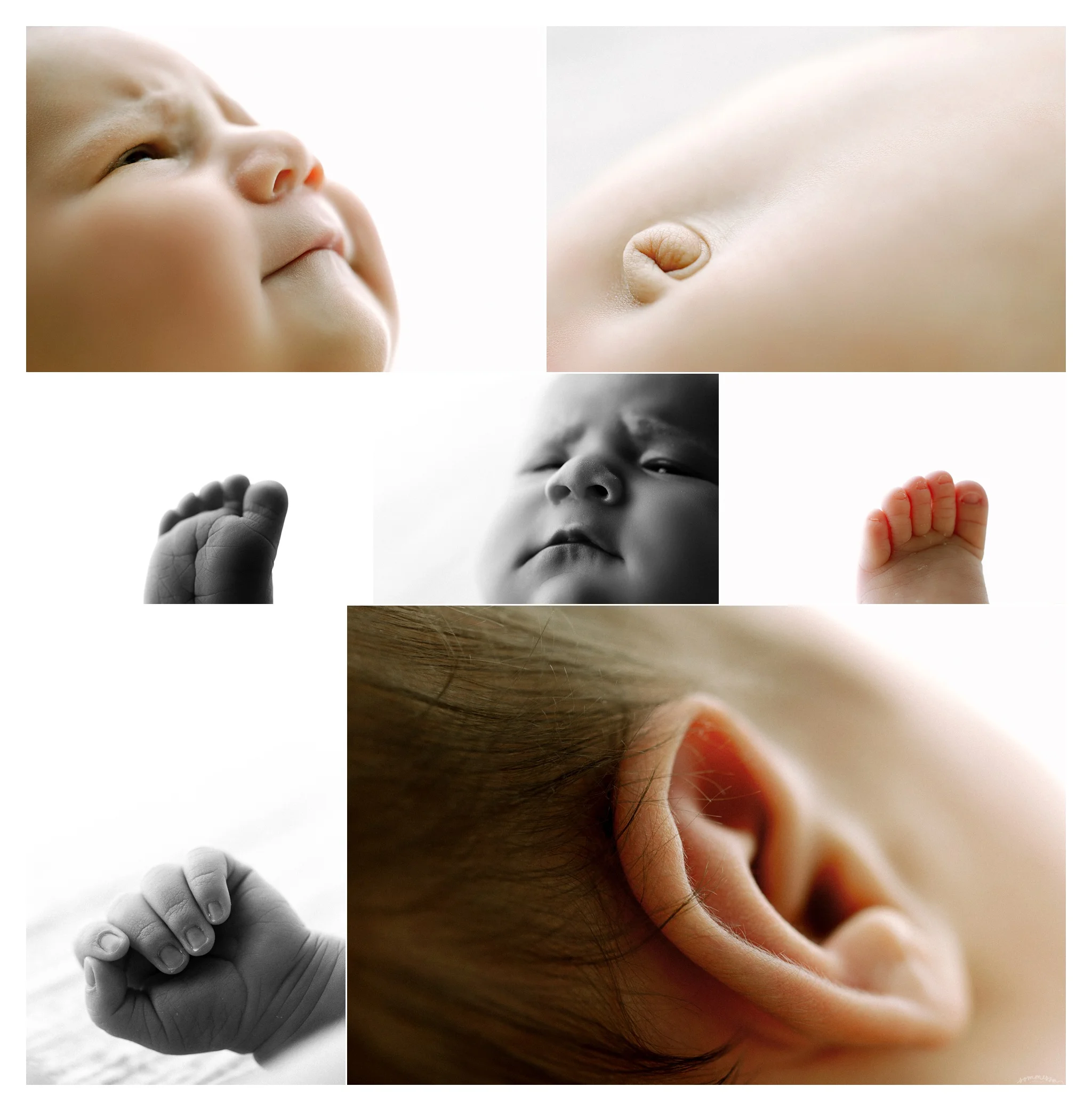 Newborn Photography in Portland, Oregon Sommessa_2818.jpg
