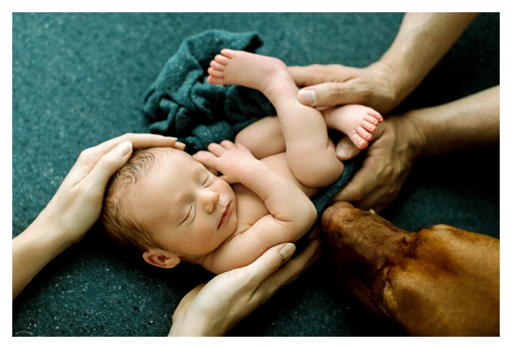Newborn Photography in Portland, Oregon_2930.jpg