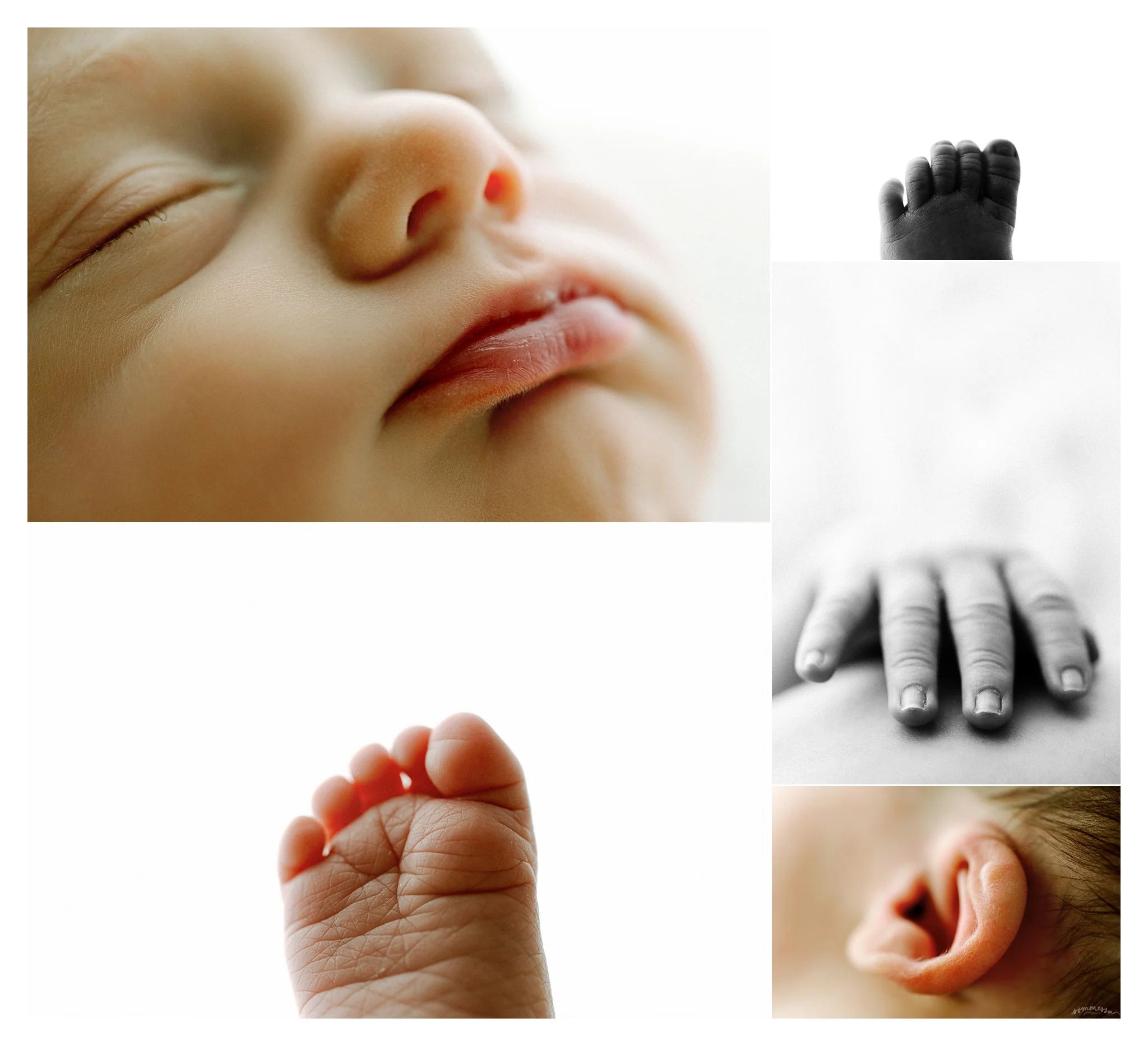 Newborn Photography in Portland, Oregon_2936.jpg