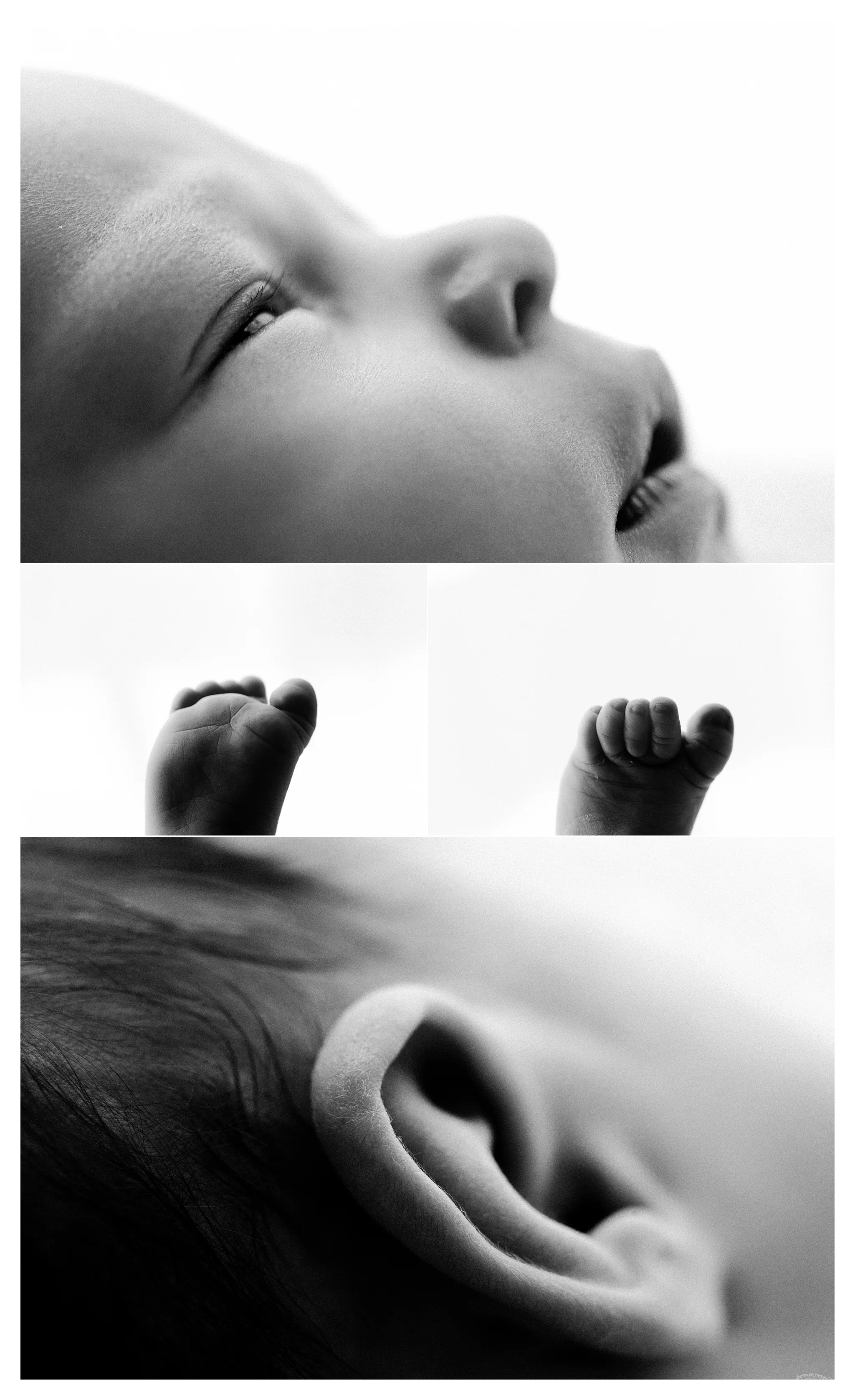 Newborn Photography in Portland, Oregon_2943.jpg