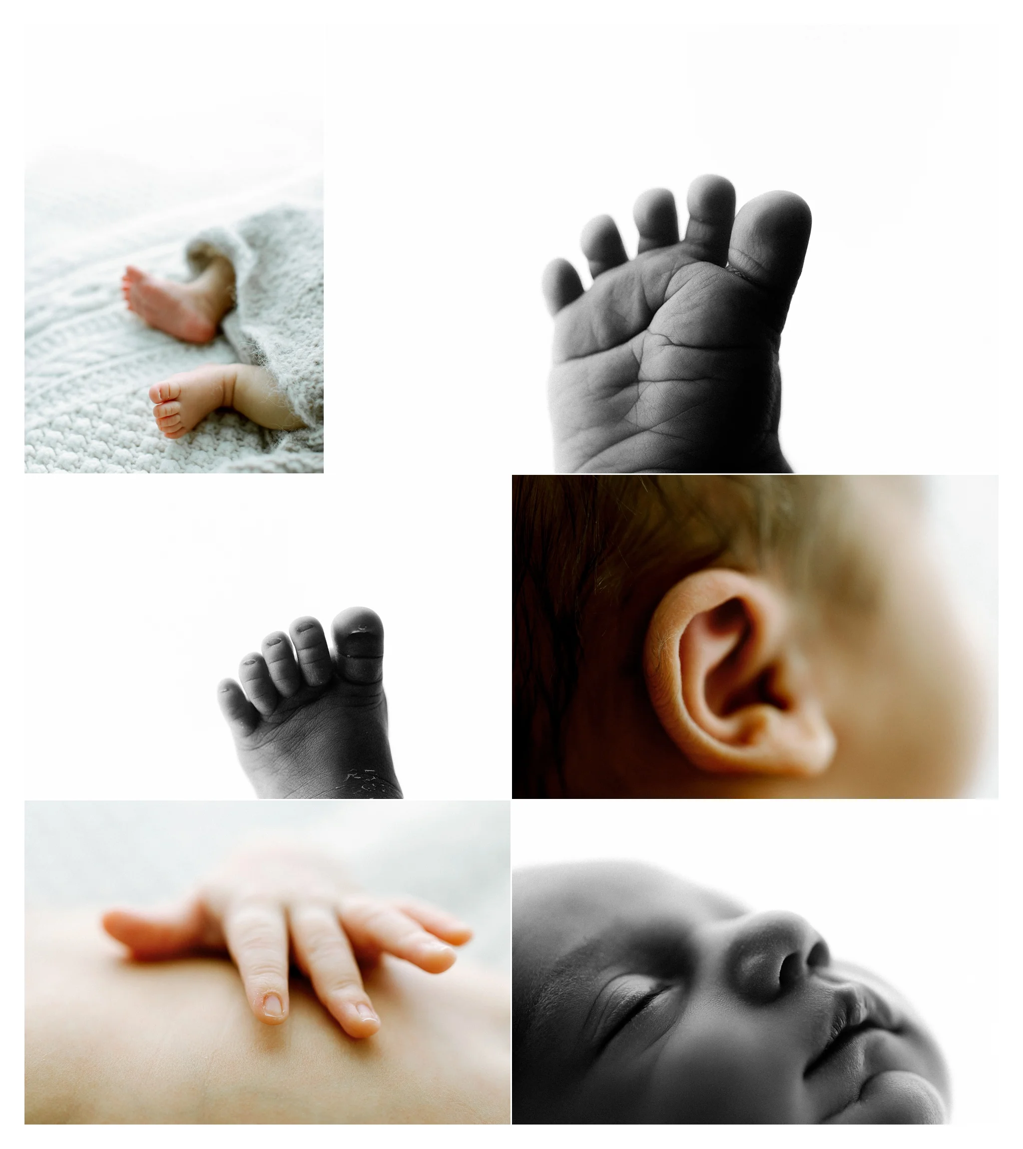 Newborn Photographer in Portland, Oregon_3017.jpg
