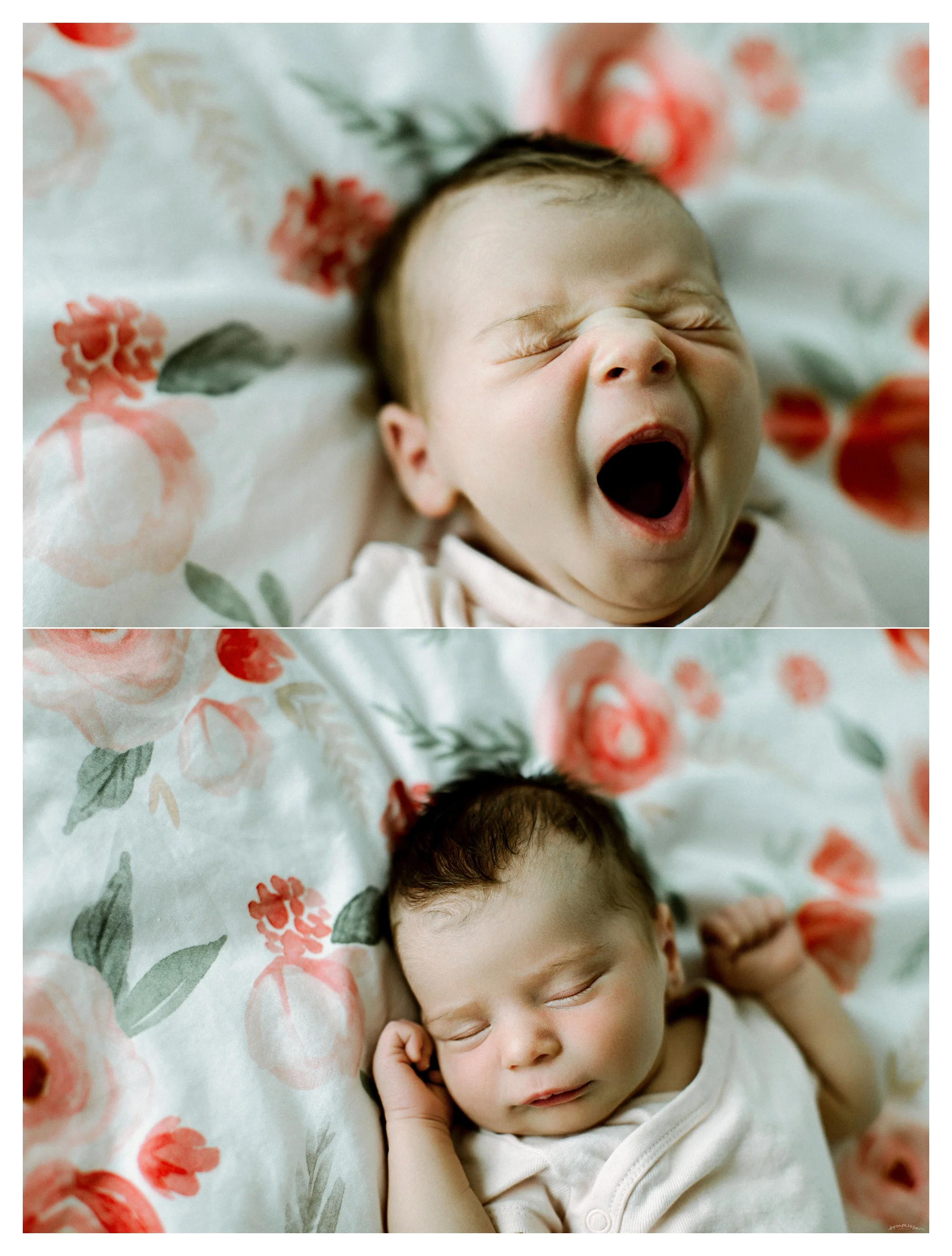 Newborn Photography in Portland, Oregon_3071.jpg