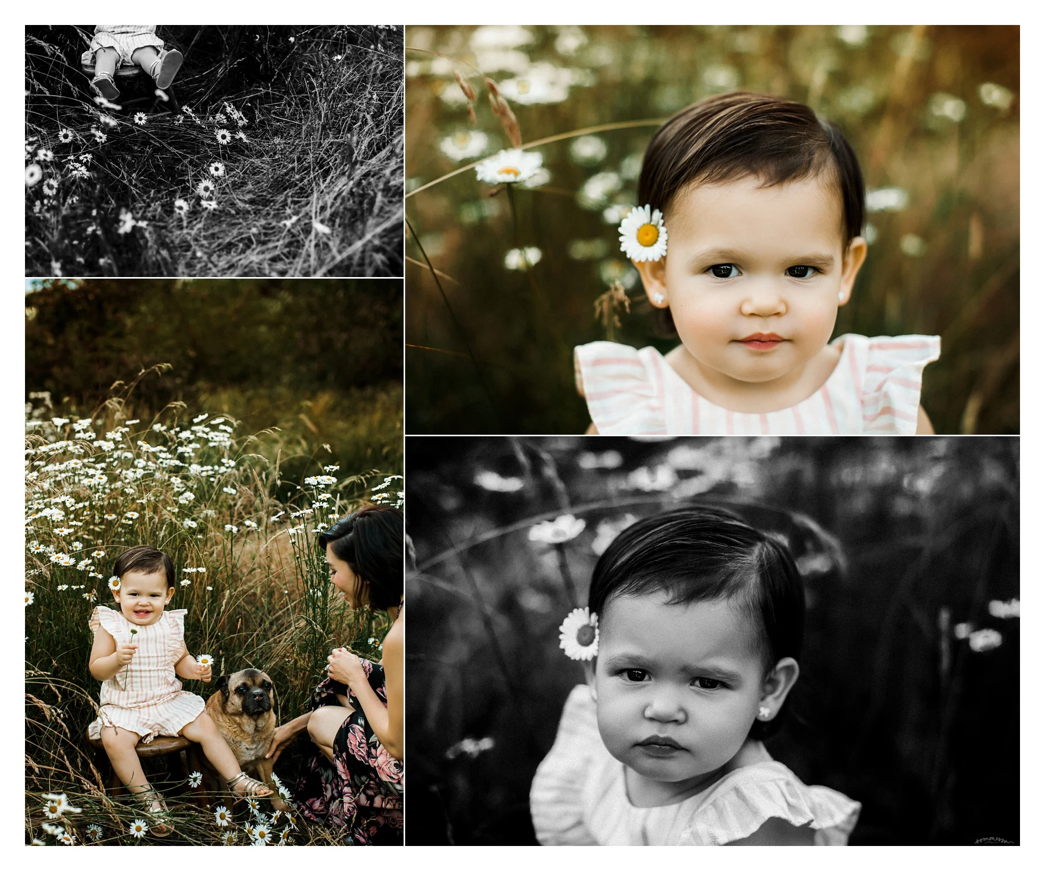 Family Photographer Portland, Oregon_3194.jpg