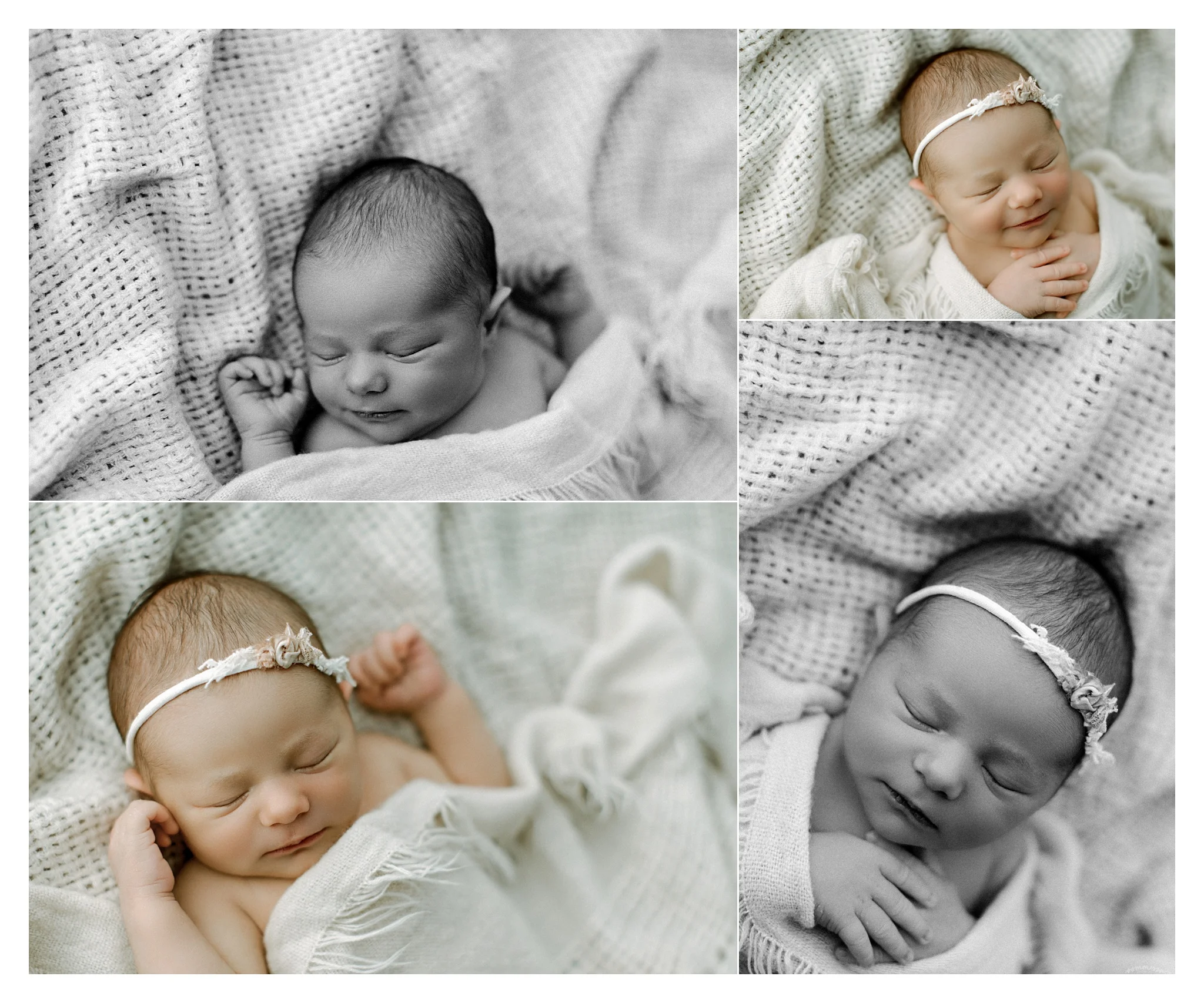 Newborn Photographer Portland, Oregon_3222.jpg
