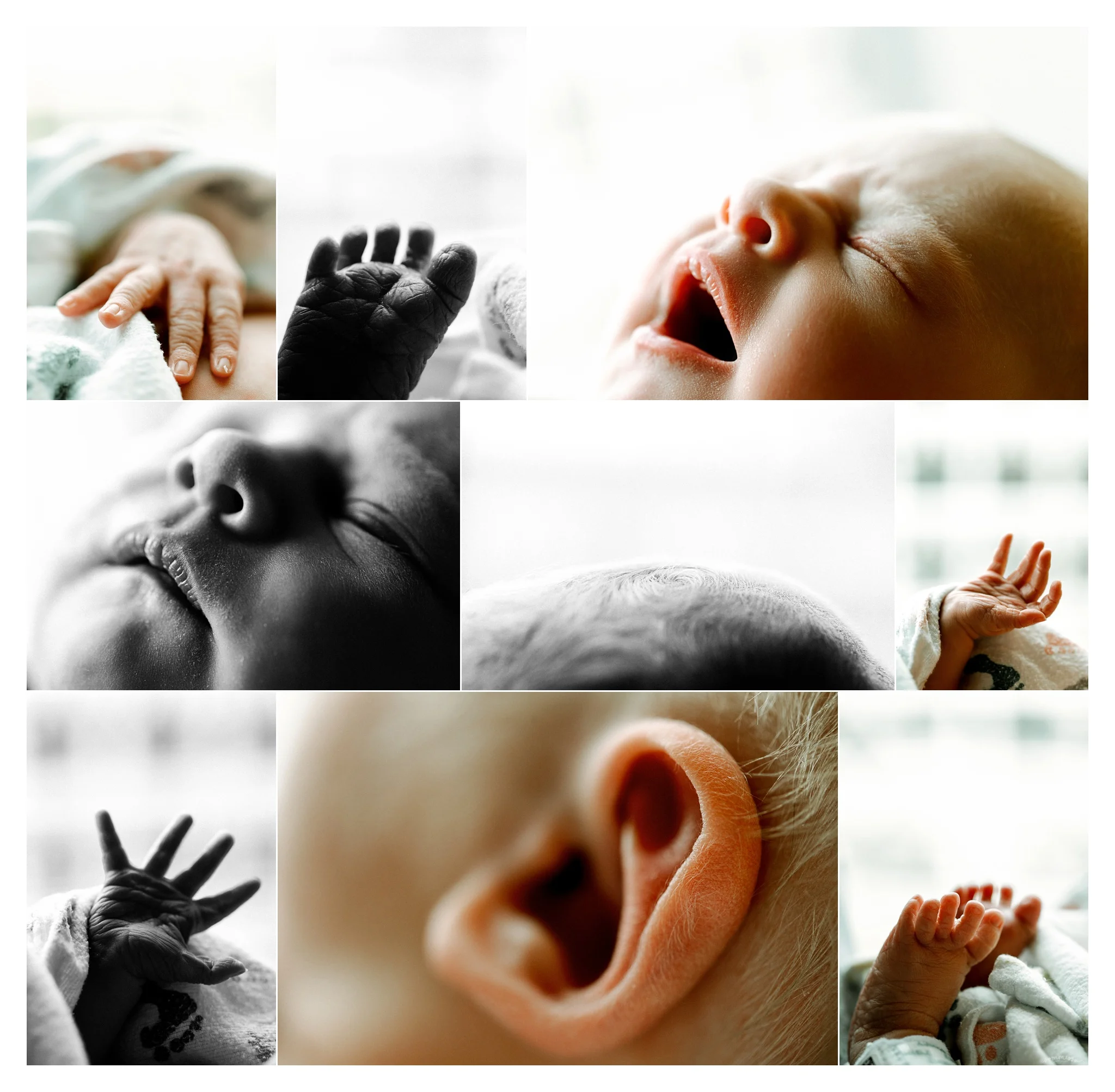 Fresh48 Newborn Photographer Portland, Oregon_3241.jpg