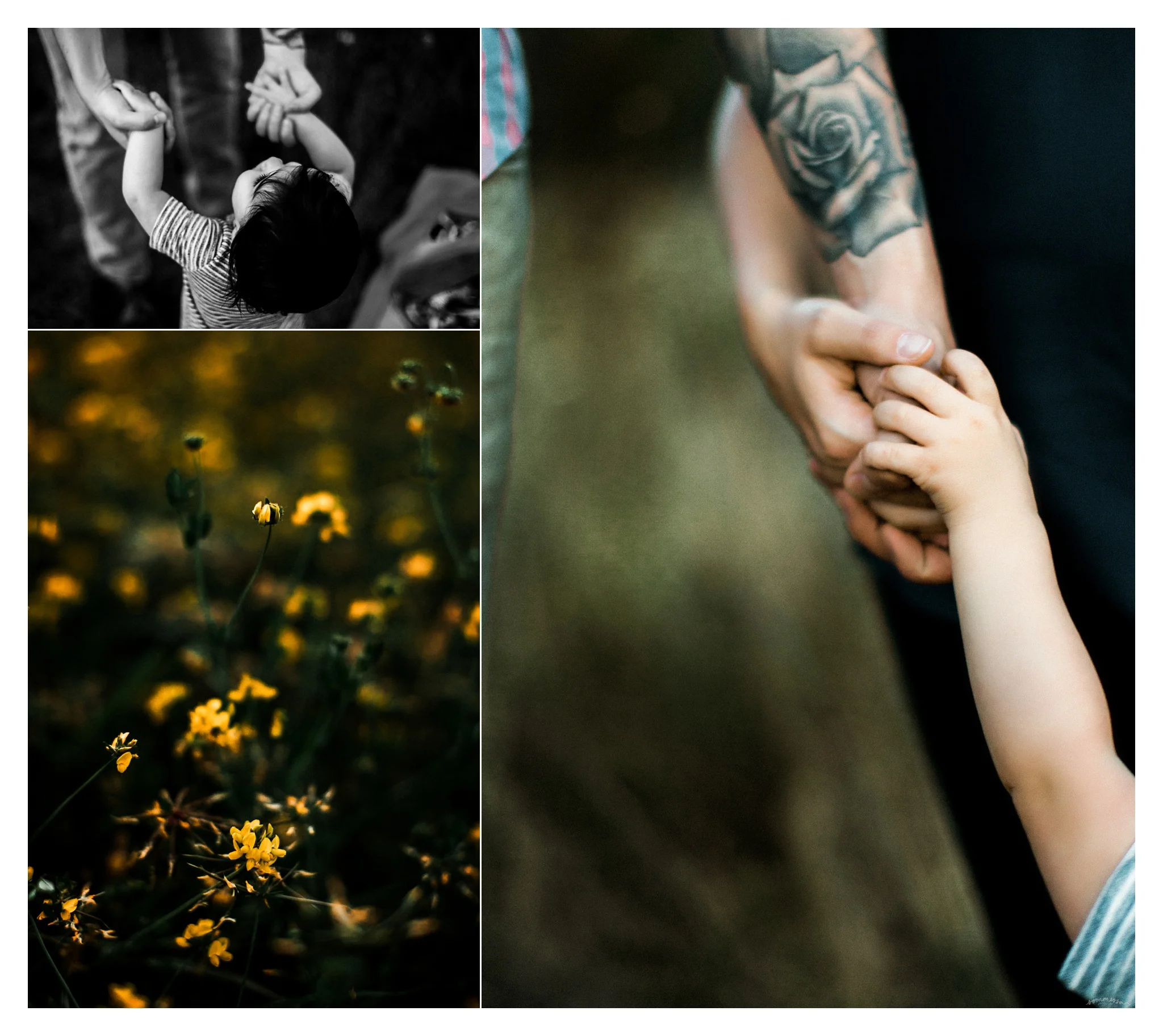 Family Photographer Portland, Oregon_3271.jpg