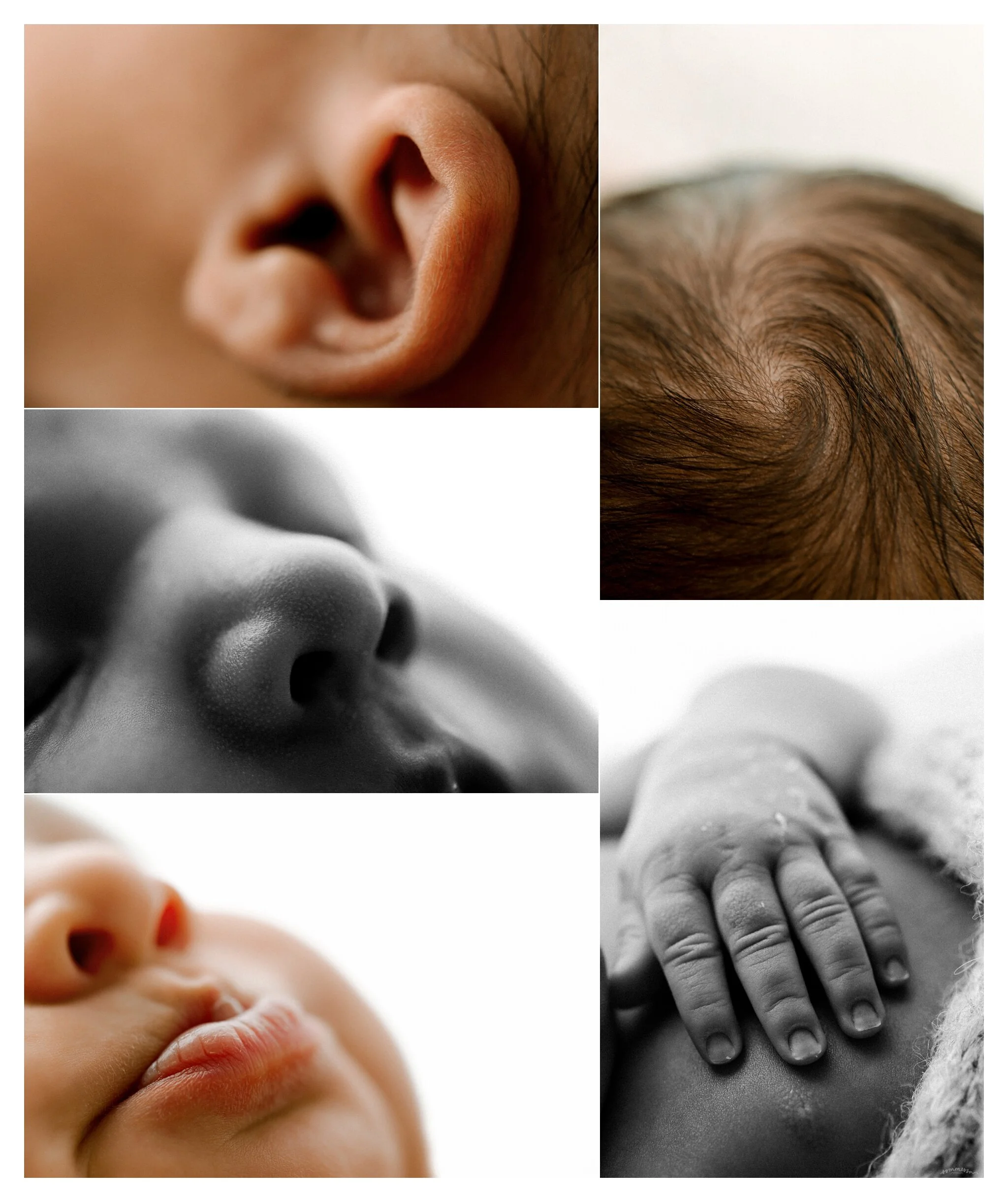 Newborn Photographer Portland, Oregon_3390.jpg