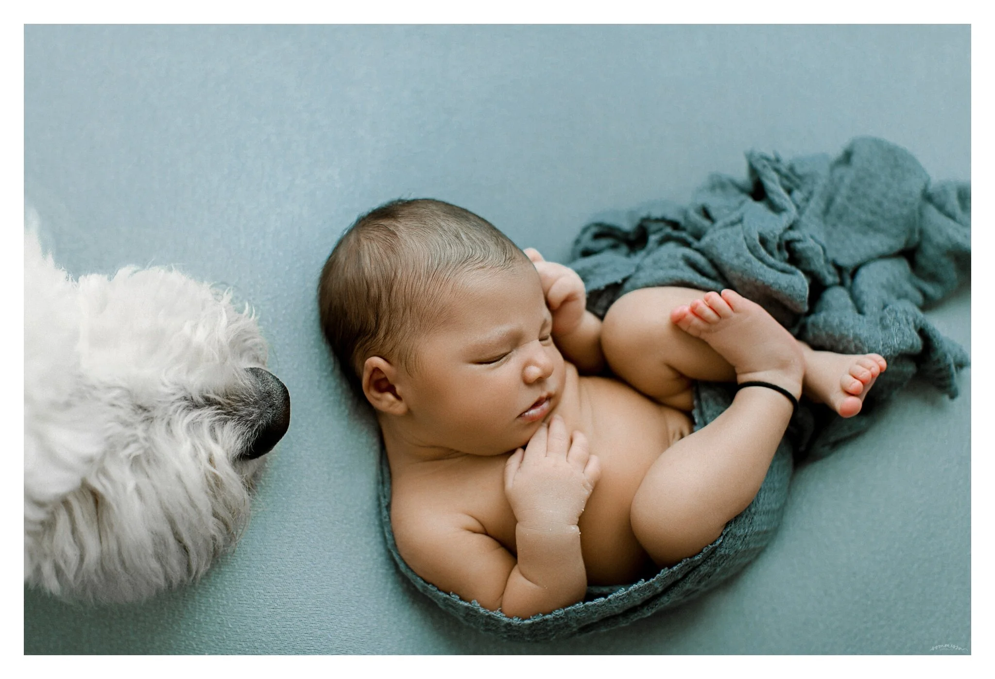Newborn Photographer Portland, Oregon_3403.jpg