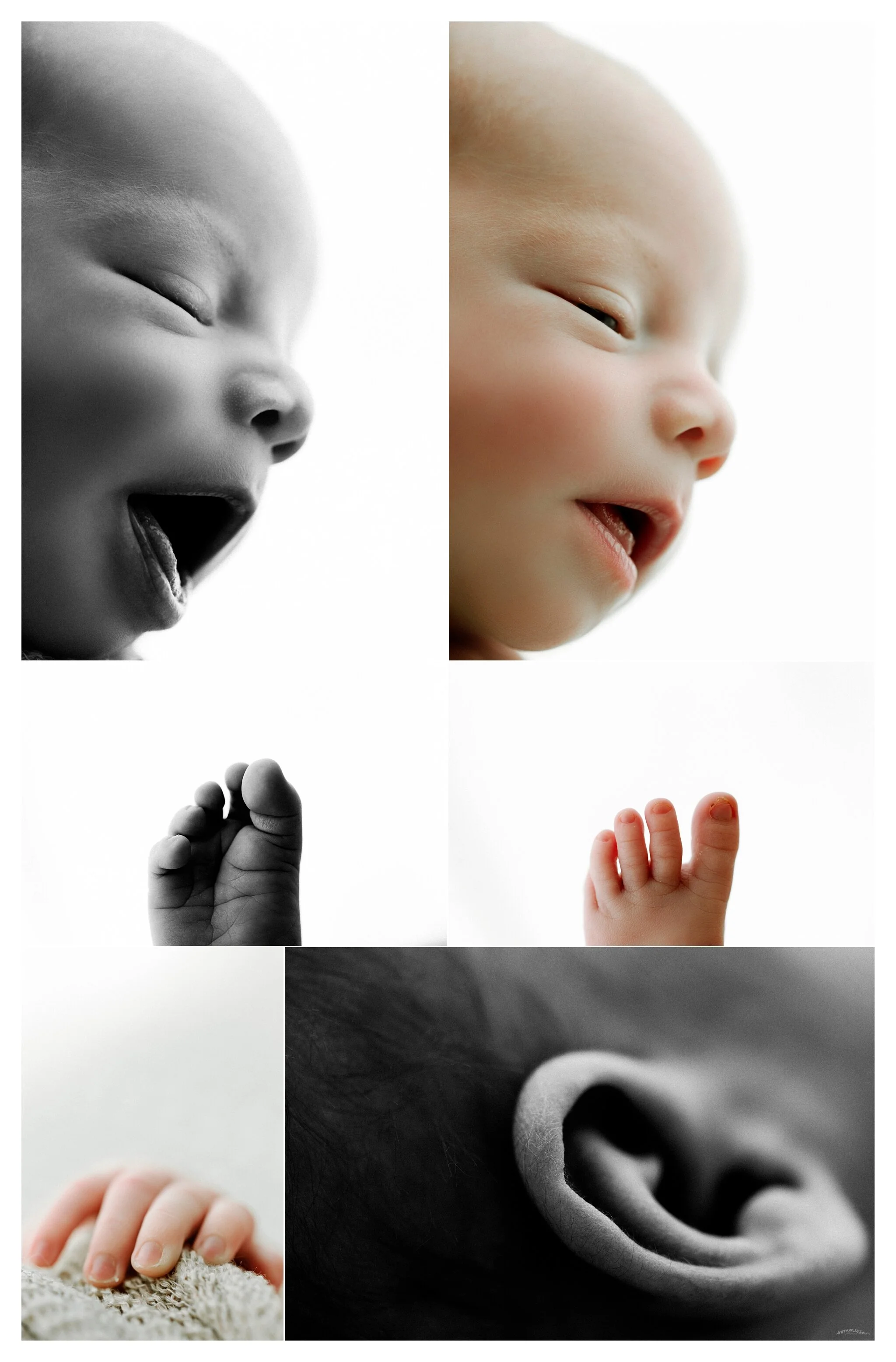 Newborn Photographer Portland, Oregon_3423.jpg