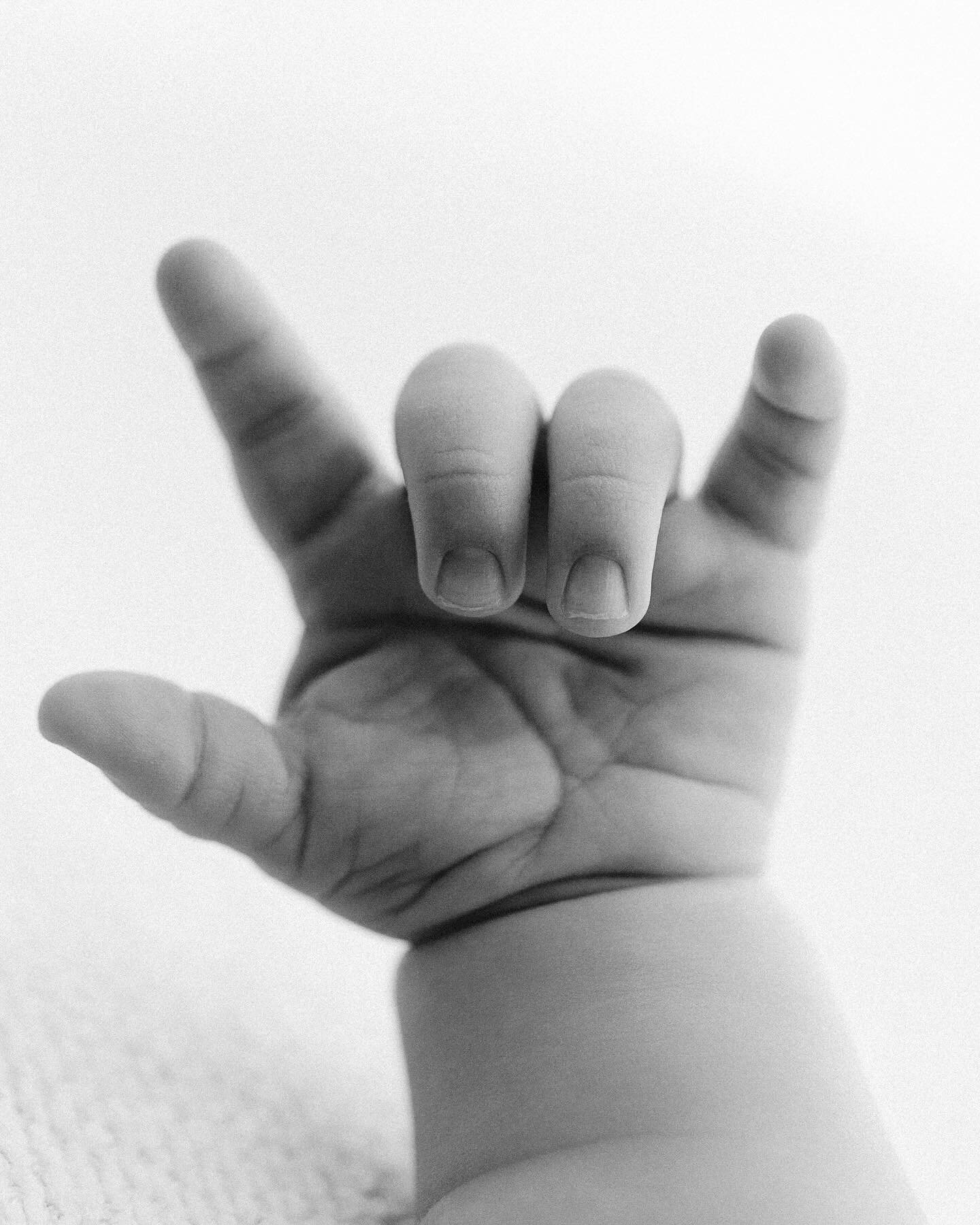 when baby has been practicing their ASL. 🤟🏻💘
&bull;
&bull;
&bull;
#newborn #baby #postpartum #4thtrimester #lifestylephotography #newbornphotography #babyphotography #lookslikefilm #thatsdarling  #folkportraits #portraitcollective #makeportraits #