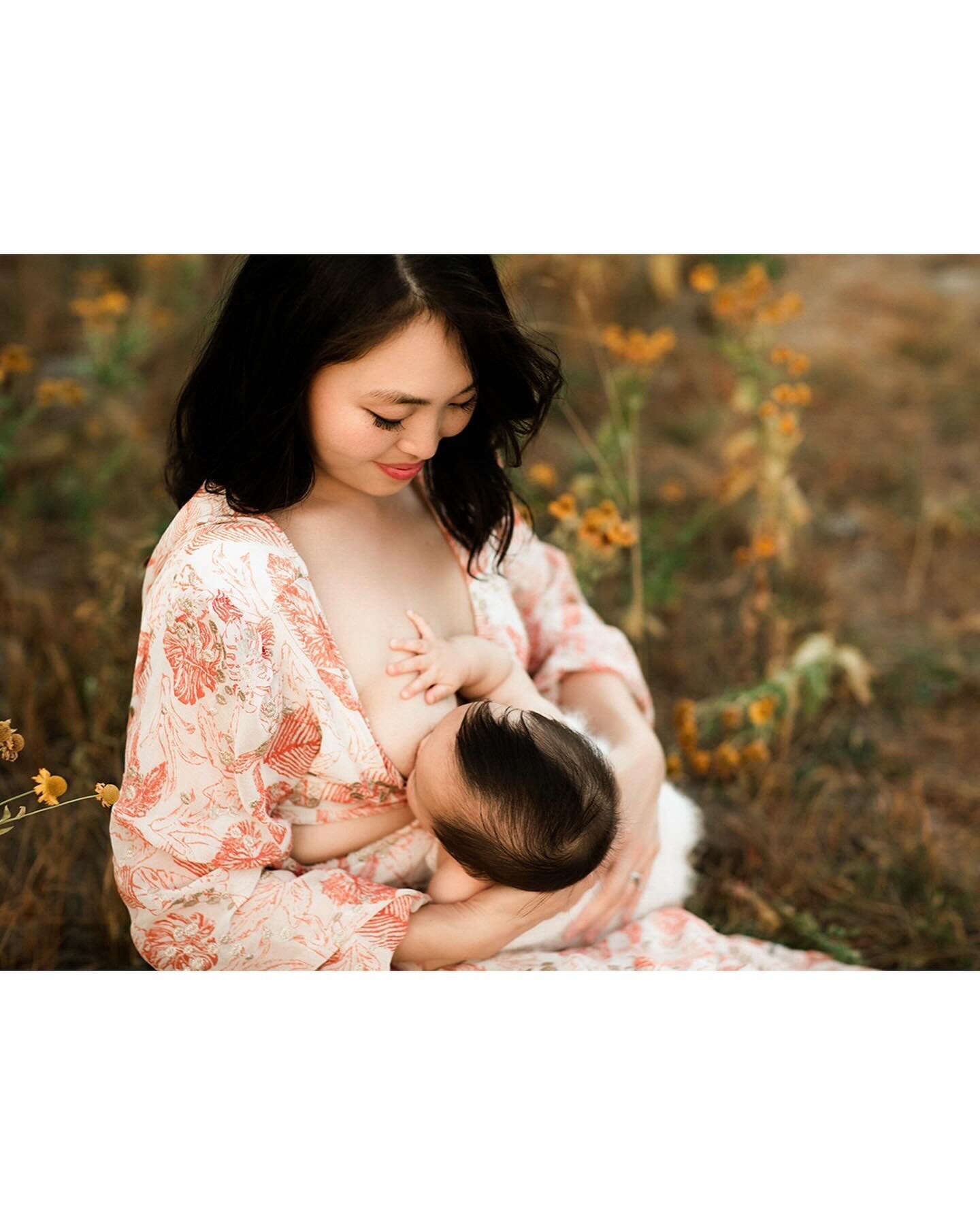 celebrating fed humans is always a joy for me. on April 27th I&rsquo;m hosting limited mini &ldquo;nourished sessions&rdquo; in Portland to help you document your feeding journey. 💖

these sessions include an image of your child alone, the two of yo