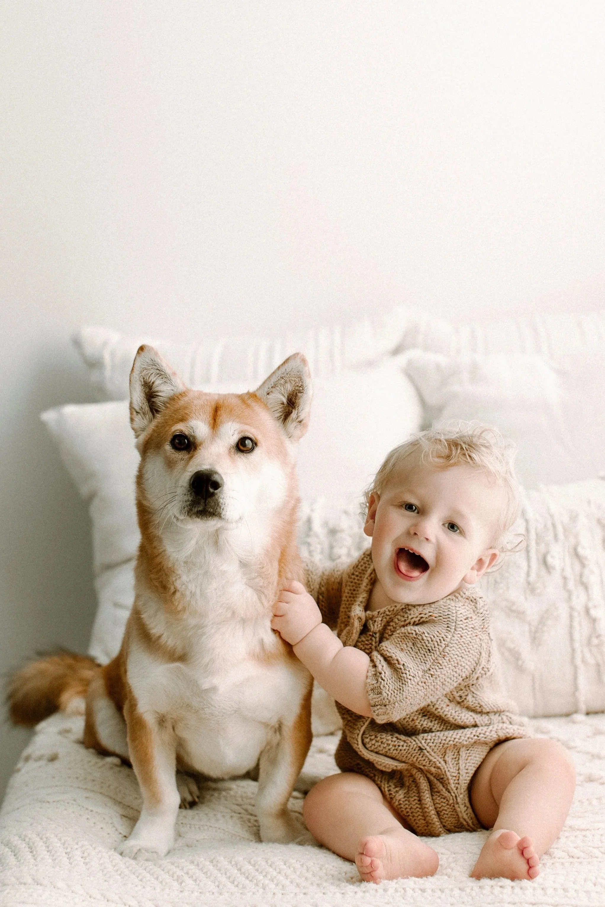 Dog and baby photography, Seattle Washington Sommessa