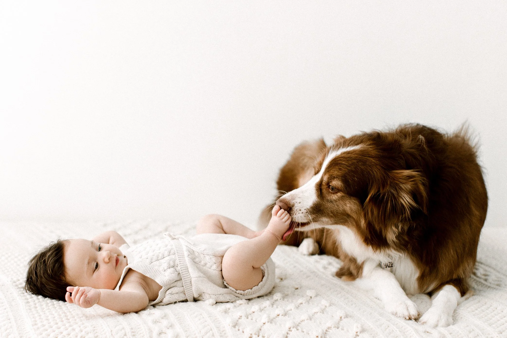 Baby and dog photography Seattle, Washington
