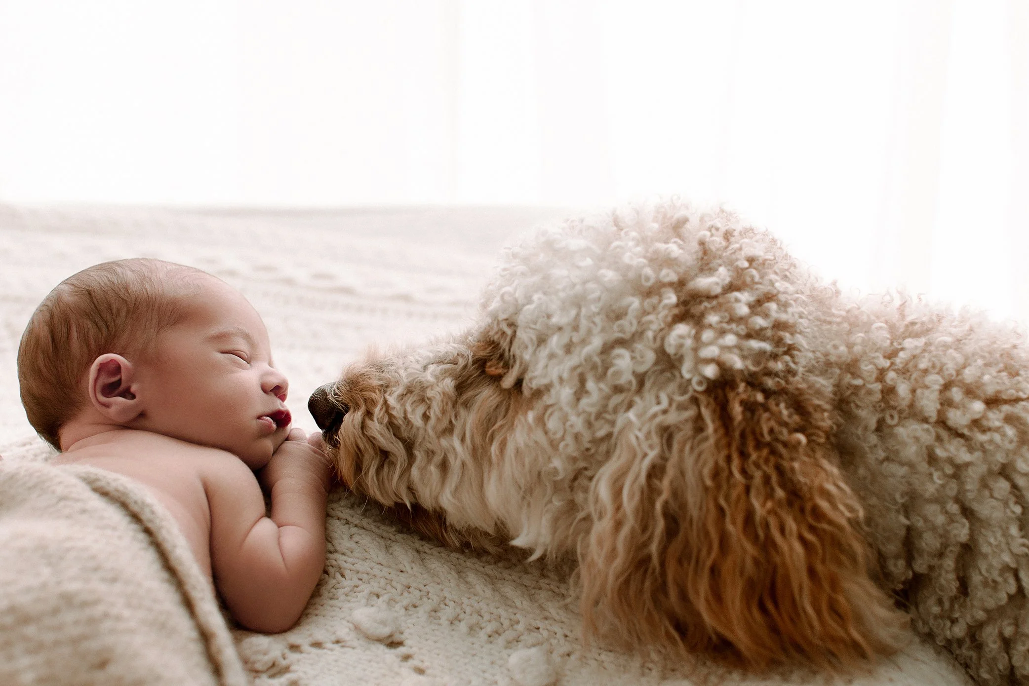 Seattle Newborn Photographer Sommessa Photography