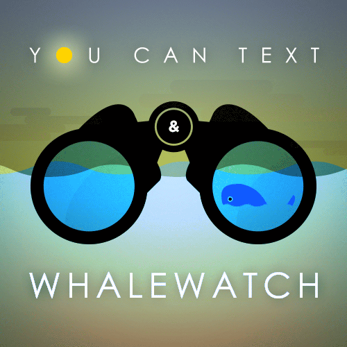 Tumblr02_WhaleWatch_v03_B.gif