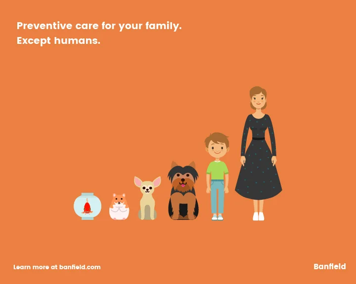 Banfield_Concepts_01_Growth - A.jpg