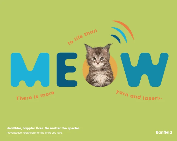 Banfield_Concepts_01_Voices - Meow.jpg